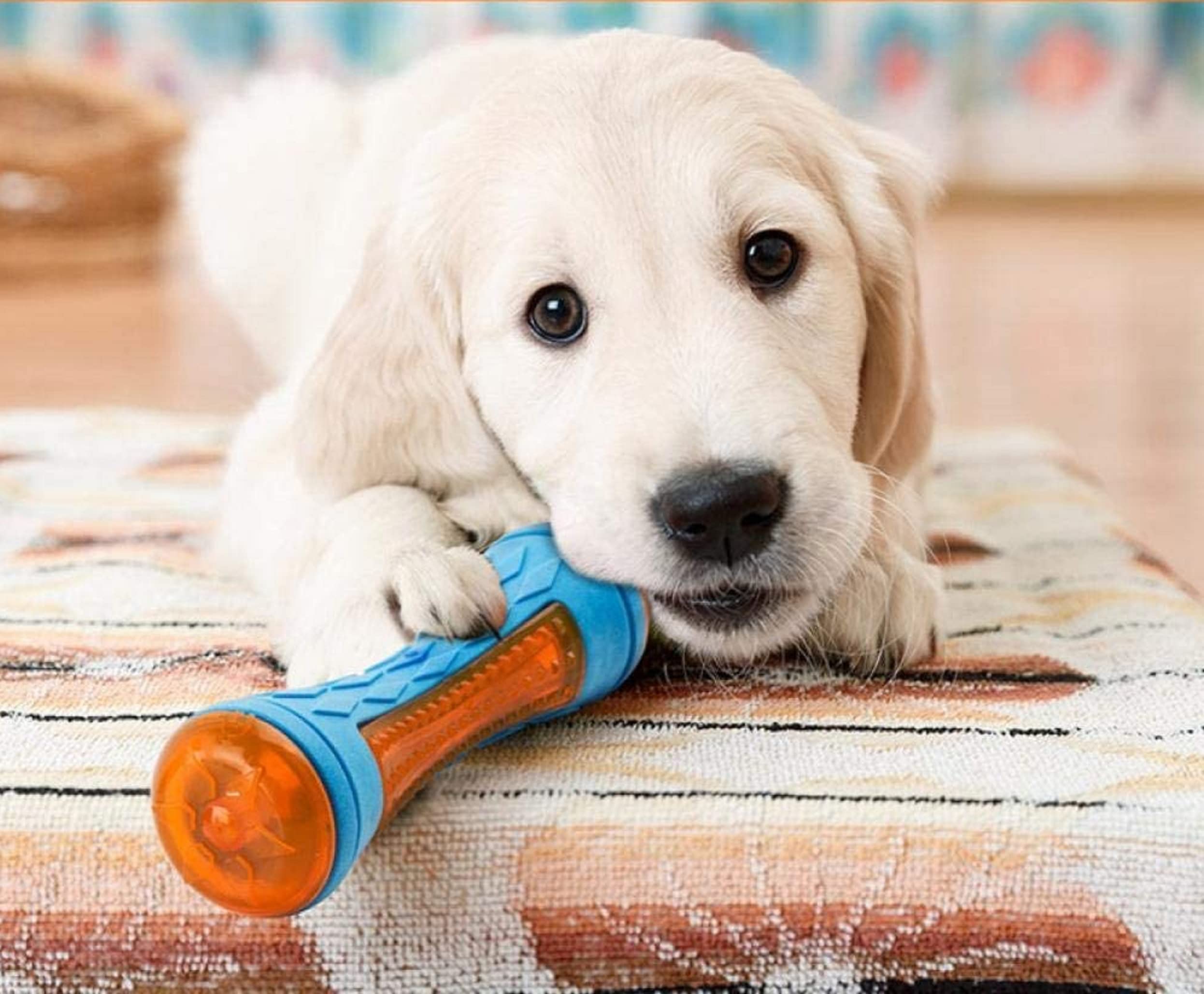 Rvpaws Latex Rubber Durable Floating Stick Led With Squeaker Sound Chew Toy Ideal For Chewing And Playing Dogs And Puppies (Colo