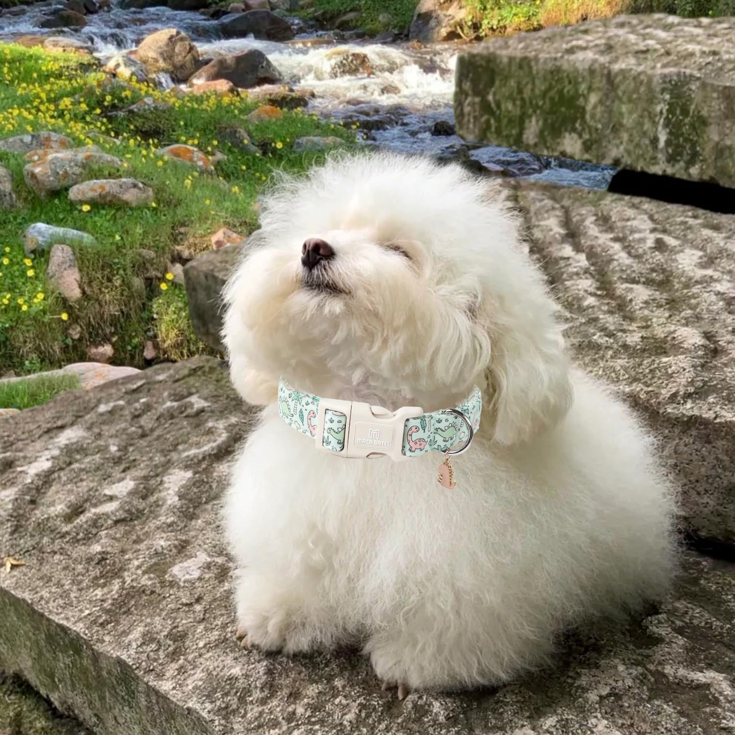 Maca Bates St Patricks Dog Collar Irish Clover Dogs Collars Green Clovers Soft Adjustable Durable Saint Patrick's Shamrock Sprin