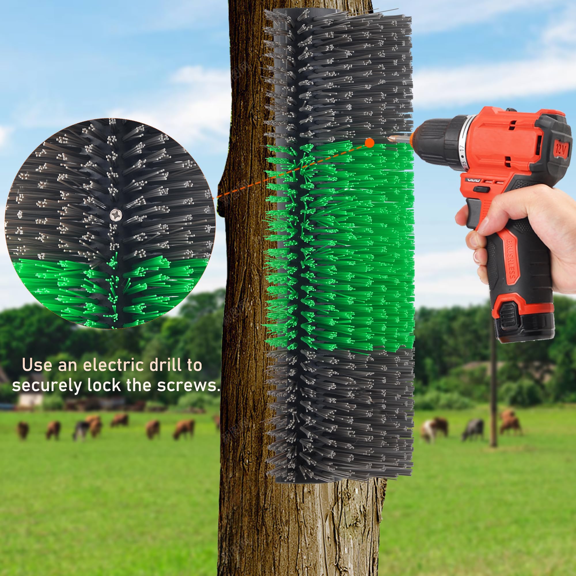 Kunbeien 4Pcs Livestock Scratch Brushes, Green (Including 304 Stainless Steel Screws, Best Firm Bristle Brushes, Suitable For Ho
