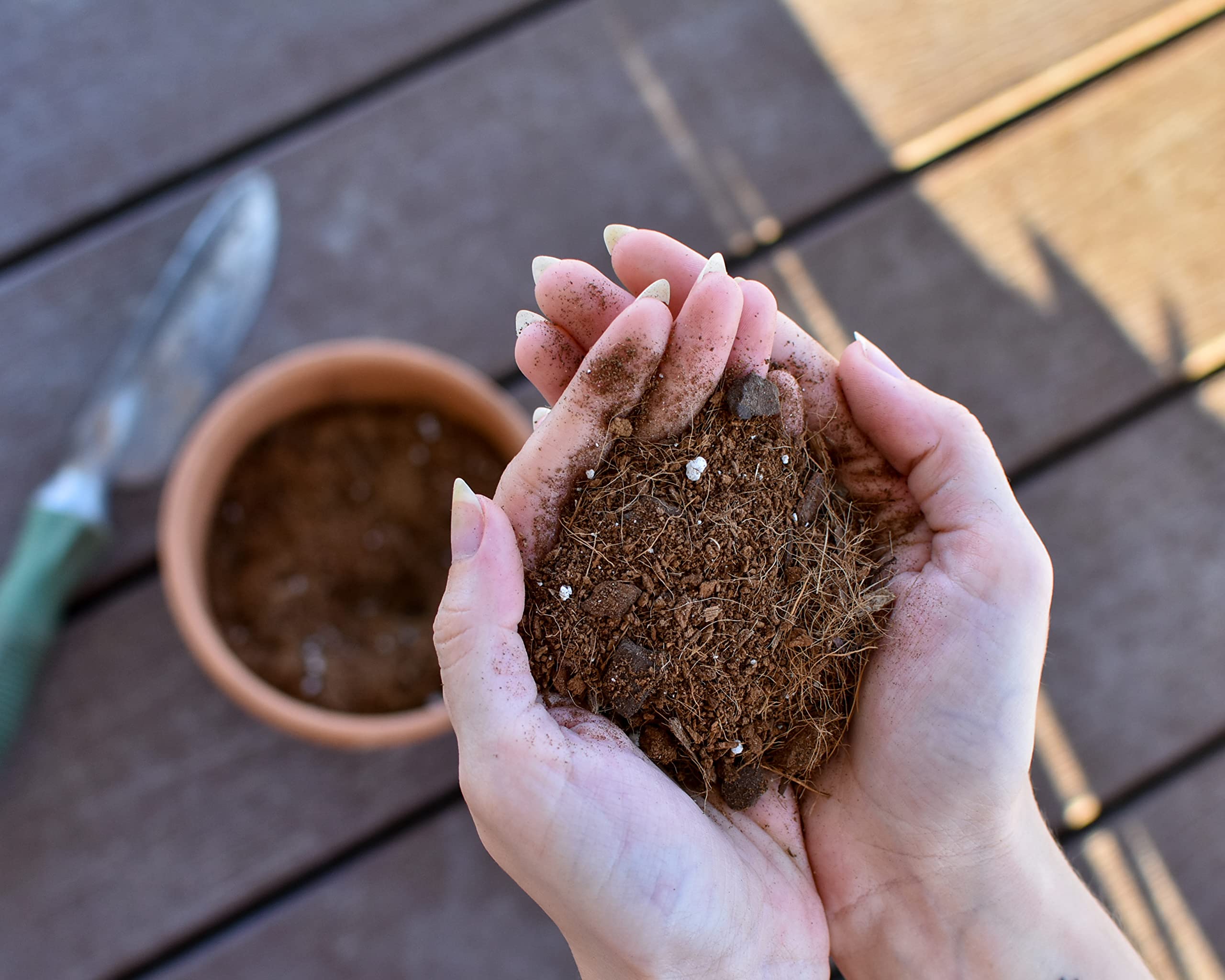 Citrus Tree Potting Soil Mix (8 Quarts), Special Blend For Indoor Oranges, Lemons, Limes And More