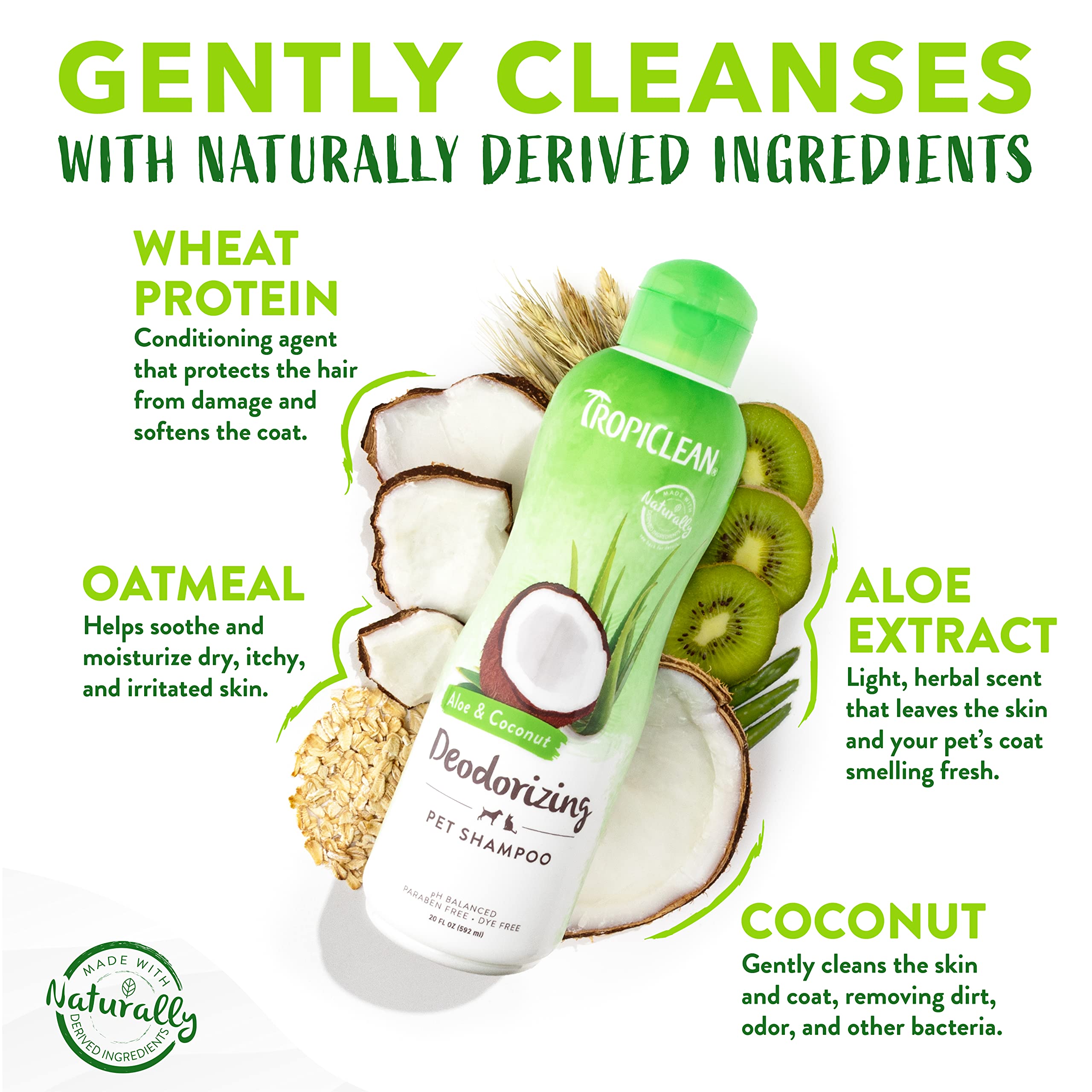 Tropiclean Aloe & Coconut Deodorizing Dog Shampoo For Smelly Dogs | Odor Control Shampoo For Stinky Dogs | Natural Pet Shampoo Derived From Natural Ingredients | Cat Friendly | Made In The Usa | 1 Gal