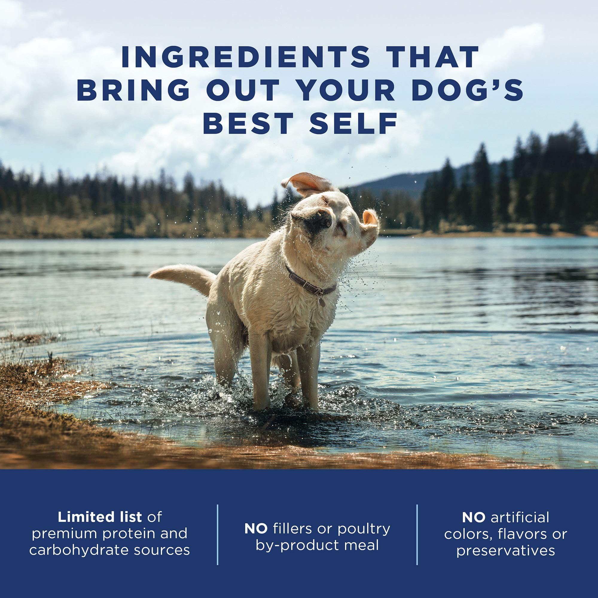 Natural Balance Limited Ingredient Adult Grain-Free Dry Dog Food, Chicken & Sweet Potato Recipe, 24 Pound (Pack of 1)