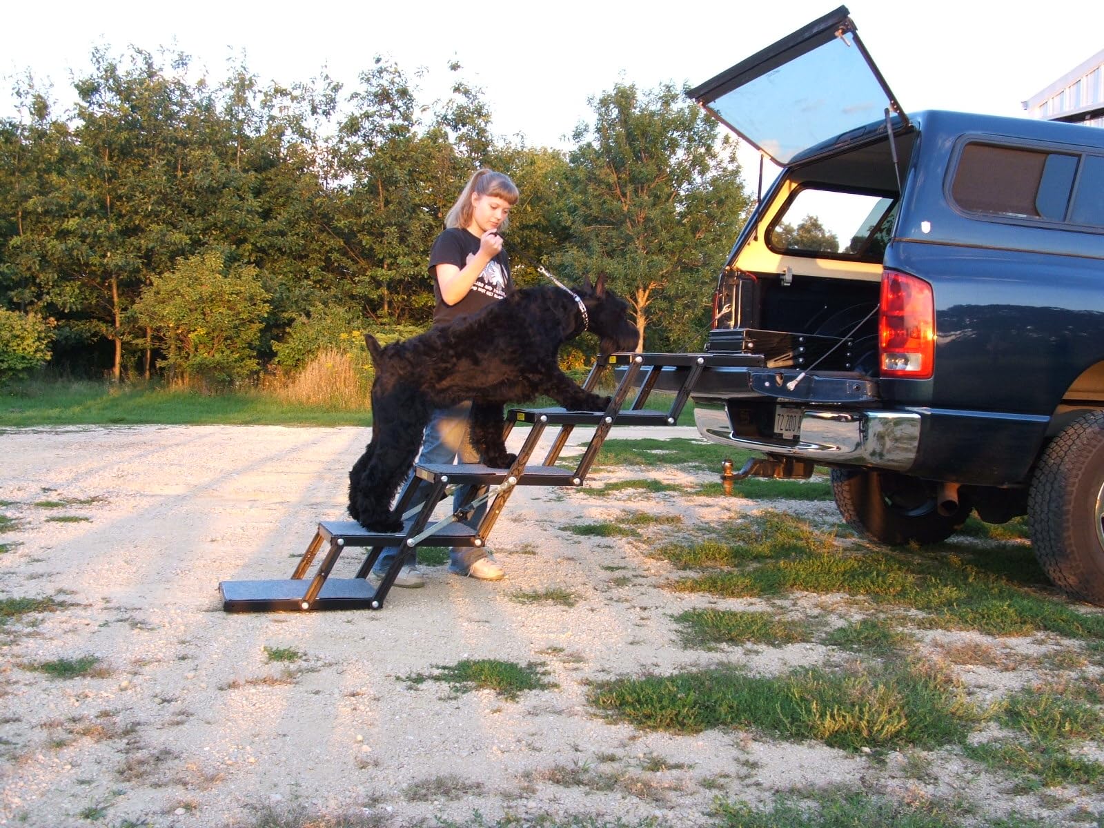 Pet Loader® Xl 18' Platform, Usa Abs, 5-Step Portable Folding Dog Steps, Made In Usa Carpeted, Great For Giant Breeds, All Dogs. Add Or Remove Steps, Safely Carries 300 Pound Pets, Lasts A Lifetime