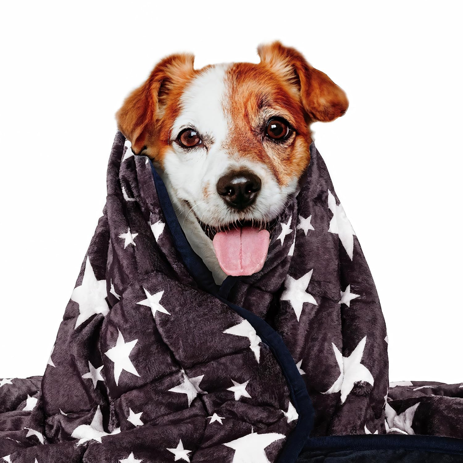 LaSyL Blanket for Pets | Thunder Blanket for Dogs Anxiety | Premium Soft Minky | Relaxation & Calming & Anti Anxiety | Blue Grey