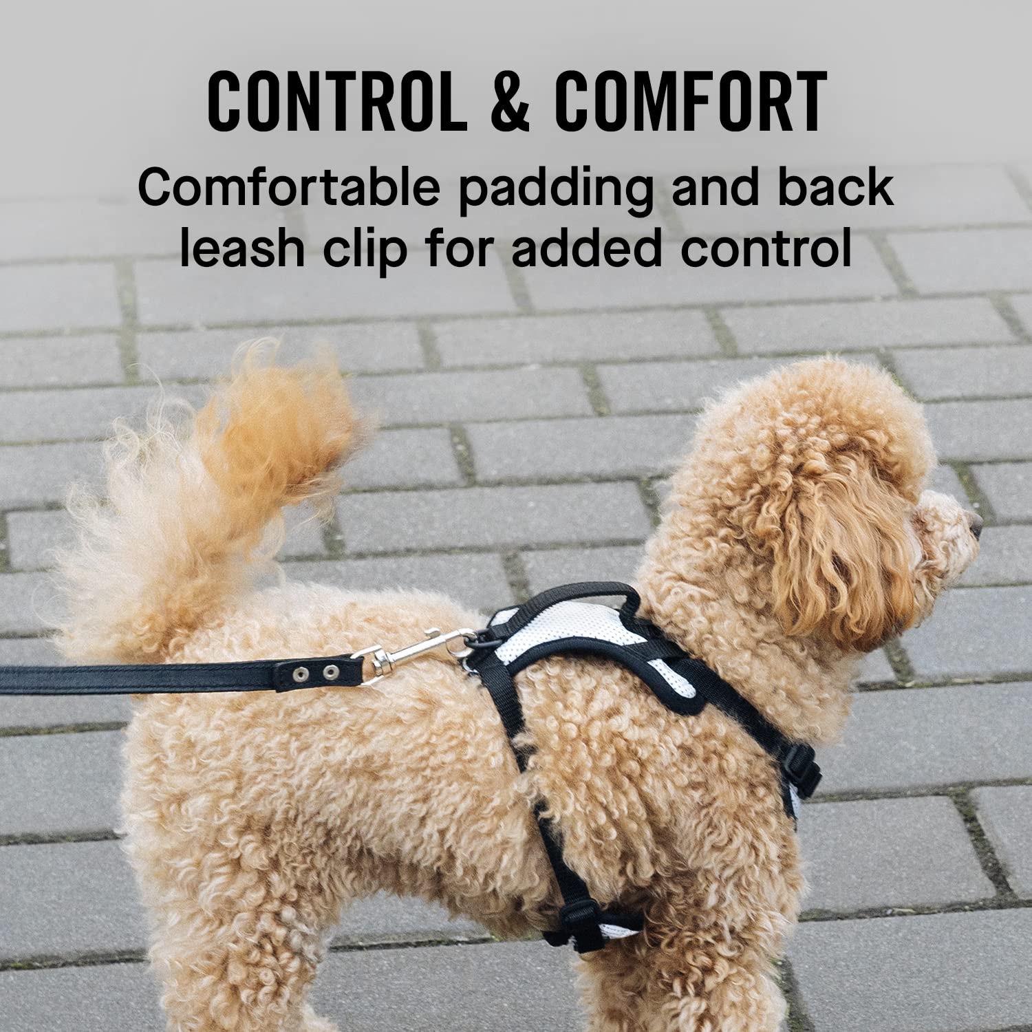 Canada Pooch Everything No Pull Dog Harness - Easy Walk Harness For Dogs With Breathable Mesh Exterior, Adjustable Dog Walking Harness Great For Dogs Reflective/Xl