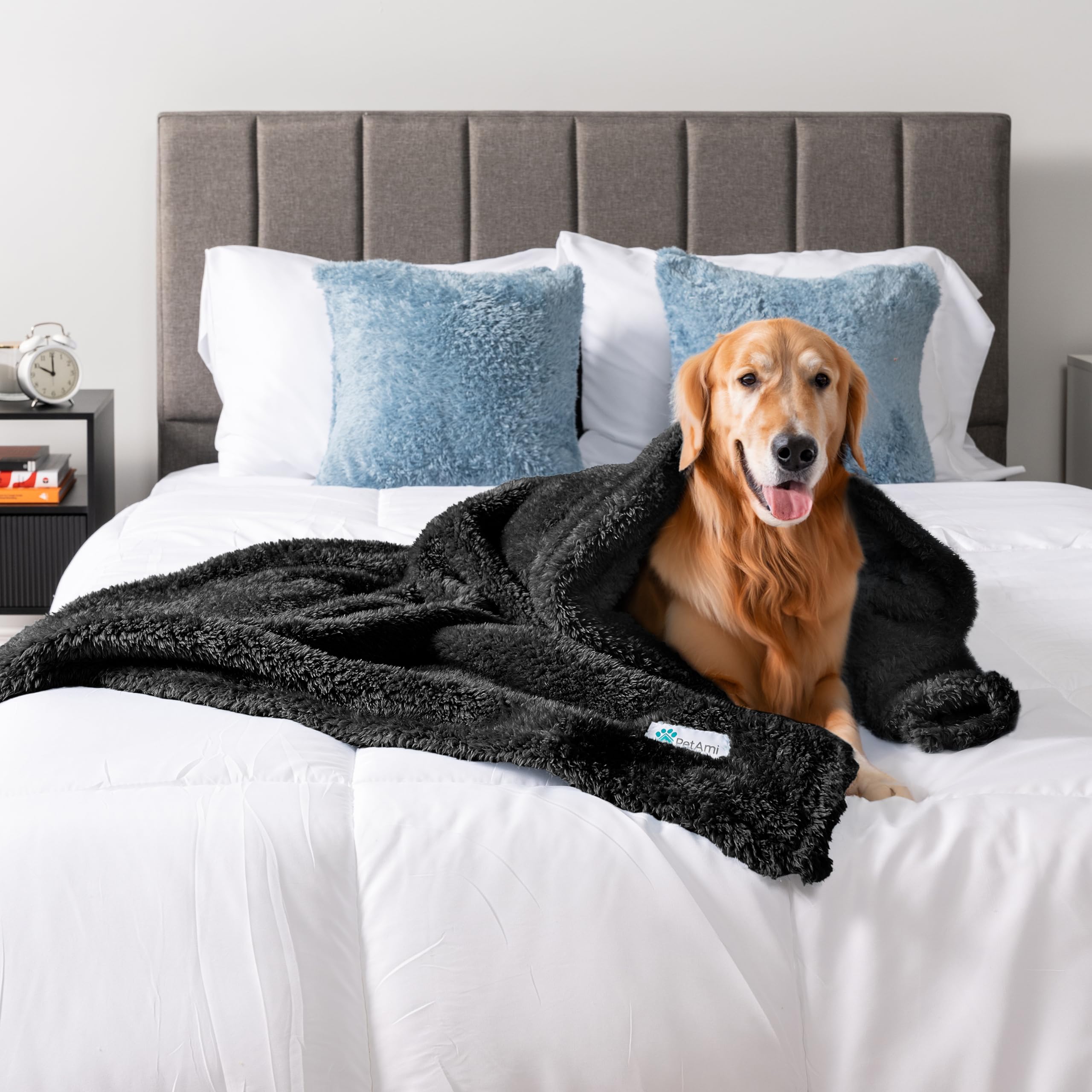 Petami Dog Blanket For Large Medium Dogs Black, Fluffy Soft Puppy Blanket, Sherpa Fleece Cat Blanket For Kitten Doggie, Calming Pet Blanket Throw For Bed Washable Sofa Couch Cover, Large 40X60