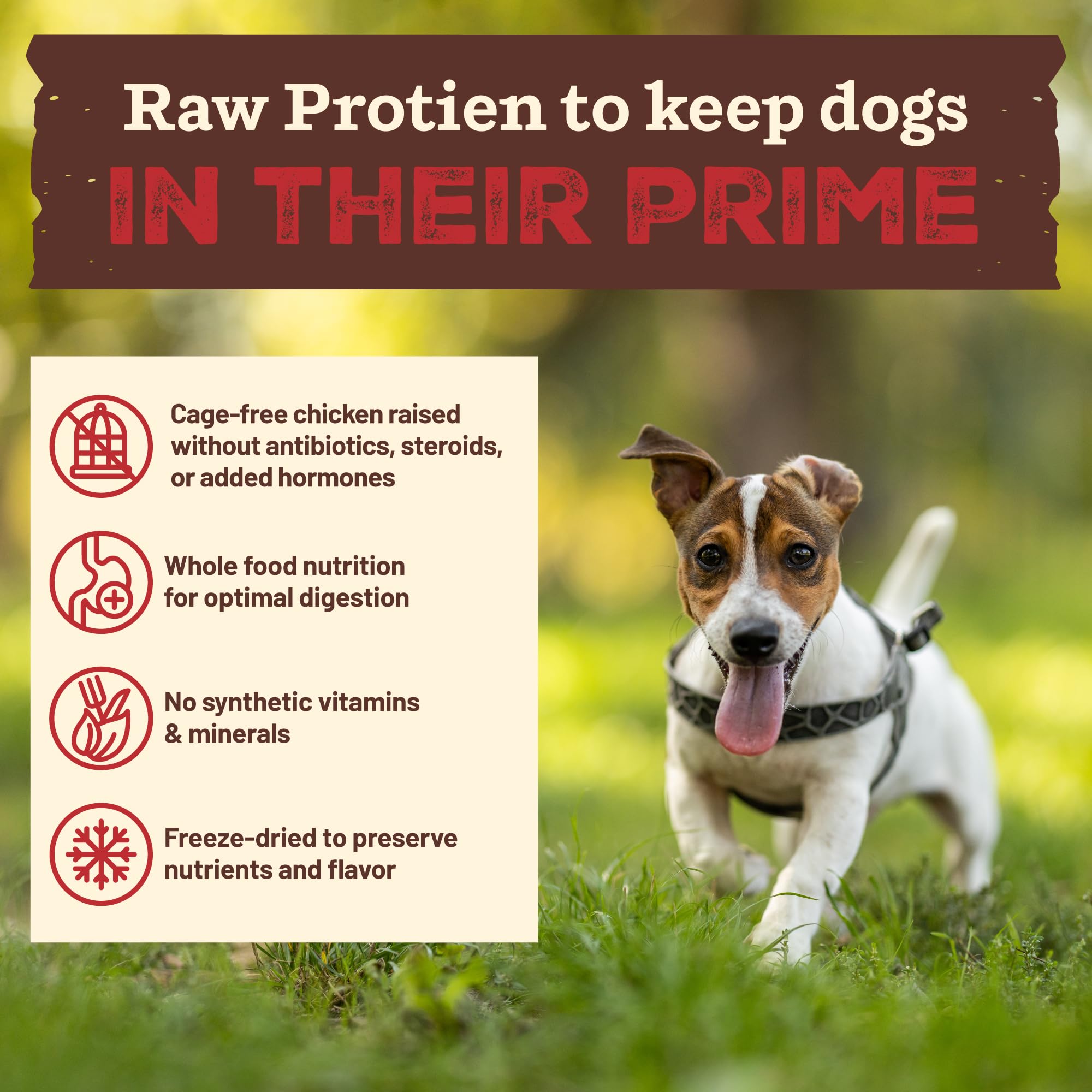 Primal Kibble in The Raw, Freeze Dried Dog Food, Small Breed Recipe, Scoop & Serve, Made with Raw Protein, Whole Ingredient Nutr