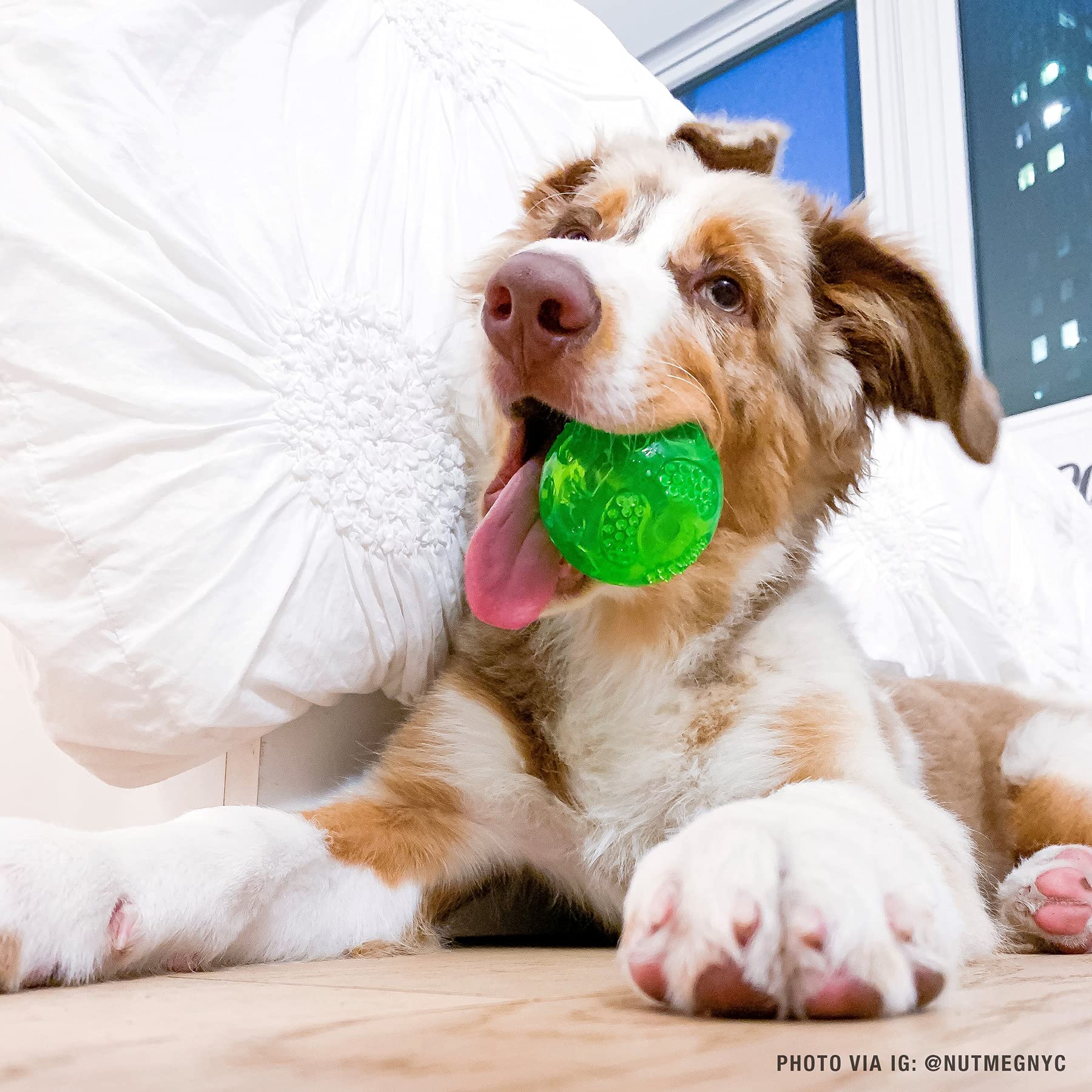 Hyper Pet Durasqueak Dog Ball Dog Toys (Interactive Dog Toys That Float & Squeak) Squeaky Dog Toys & Dog Balls For Playing, Fetching & Retrieving - Great Alternative To Traditional Dog Tennis Balls