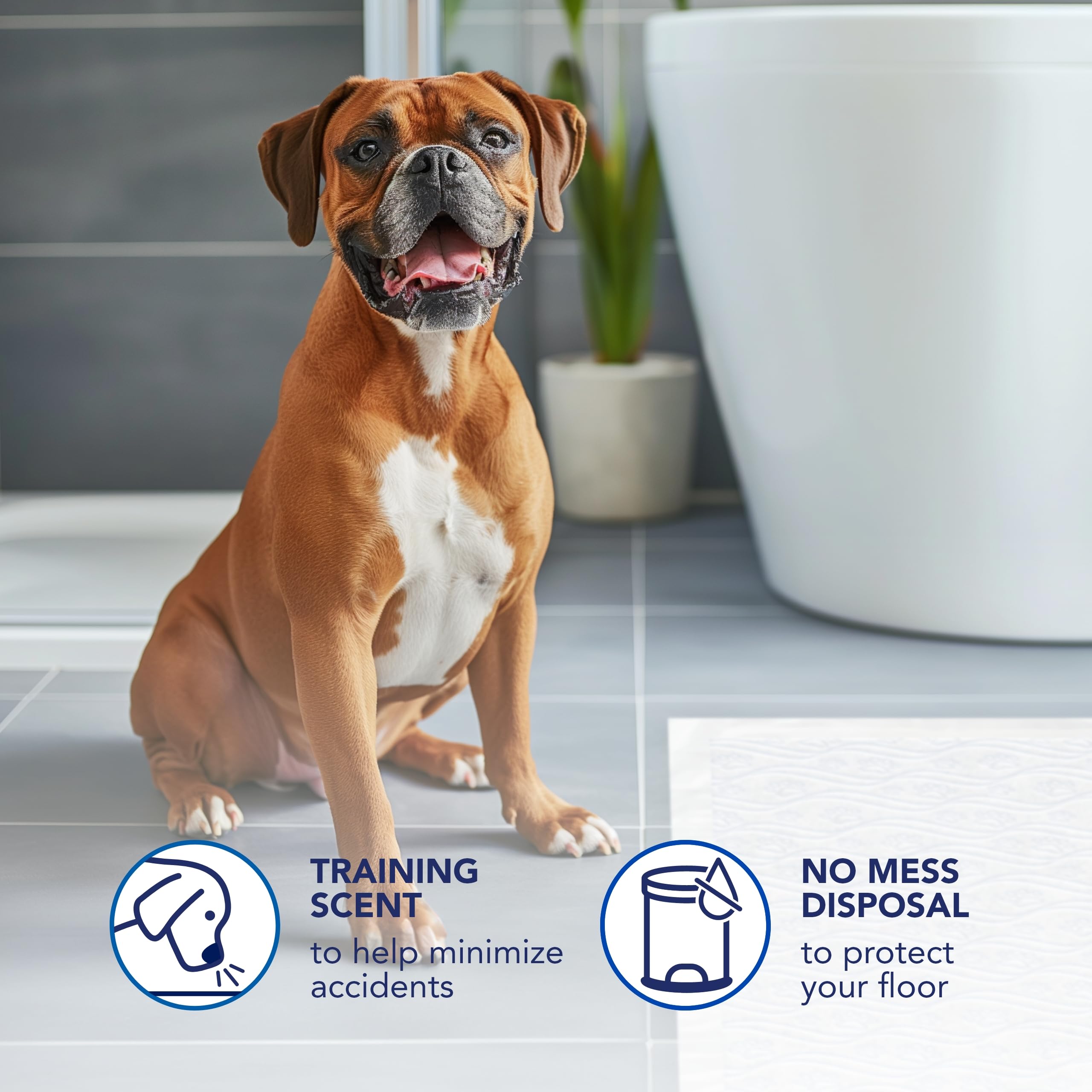 Scott Pet Guard Dog Pads - Dog Training Pee Pads for Large & Extra Large Dogs - Up to 12 Hour Absorbent Odor Control - Easily Di