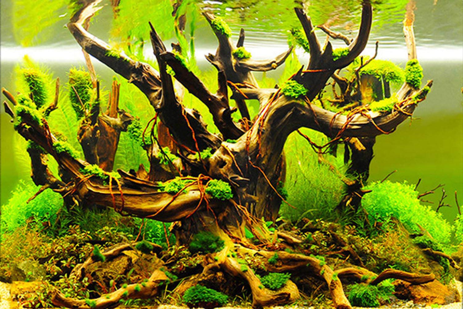 ELEBOX New 23 x 71 Fish Tank Background Paper Wallpaper 2 Sided Colorful Seaweed Water Plants Aquarium Poster Decorations