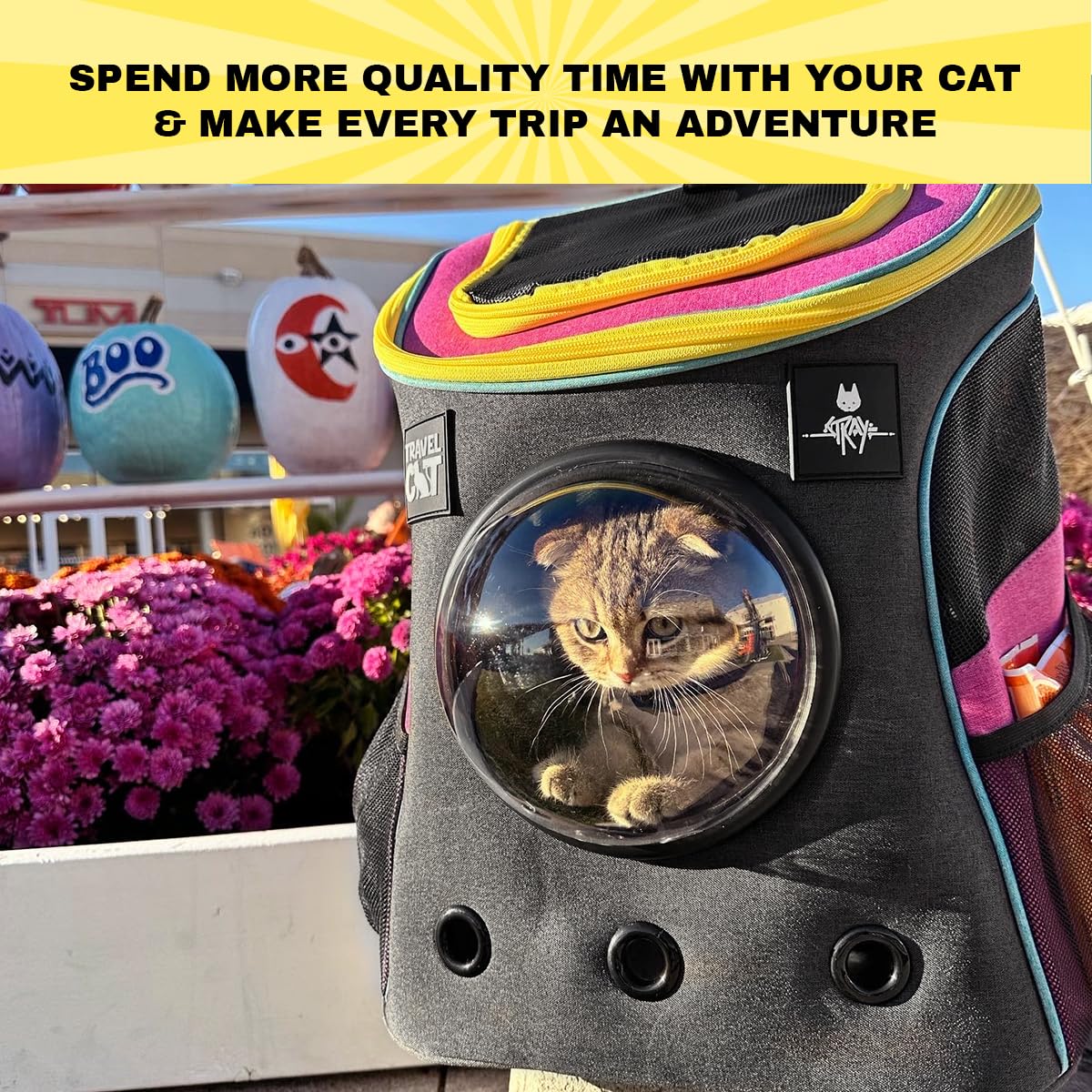 Fat Cat Backpack Carrier - Airline Approved Cat Carrier With Space Capsule Bubble For For Small Cats, Kitten - Premium Stray Cat