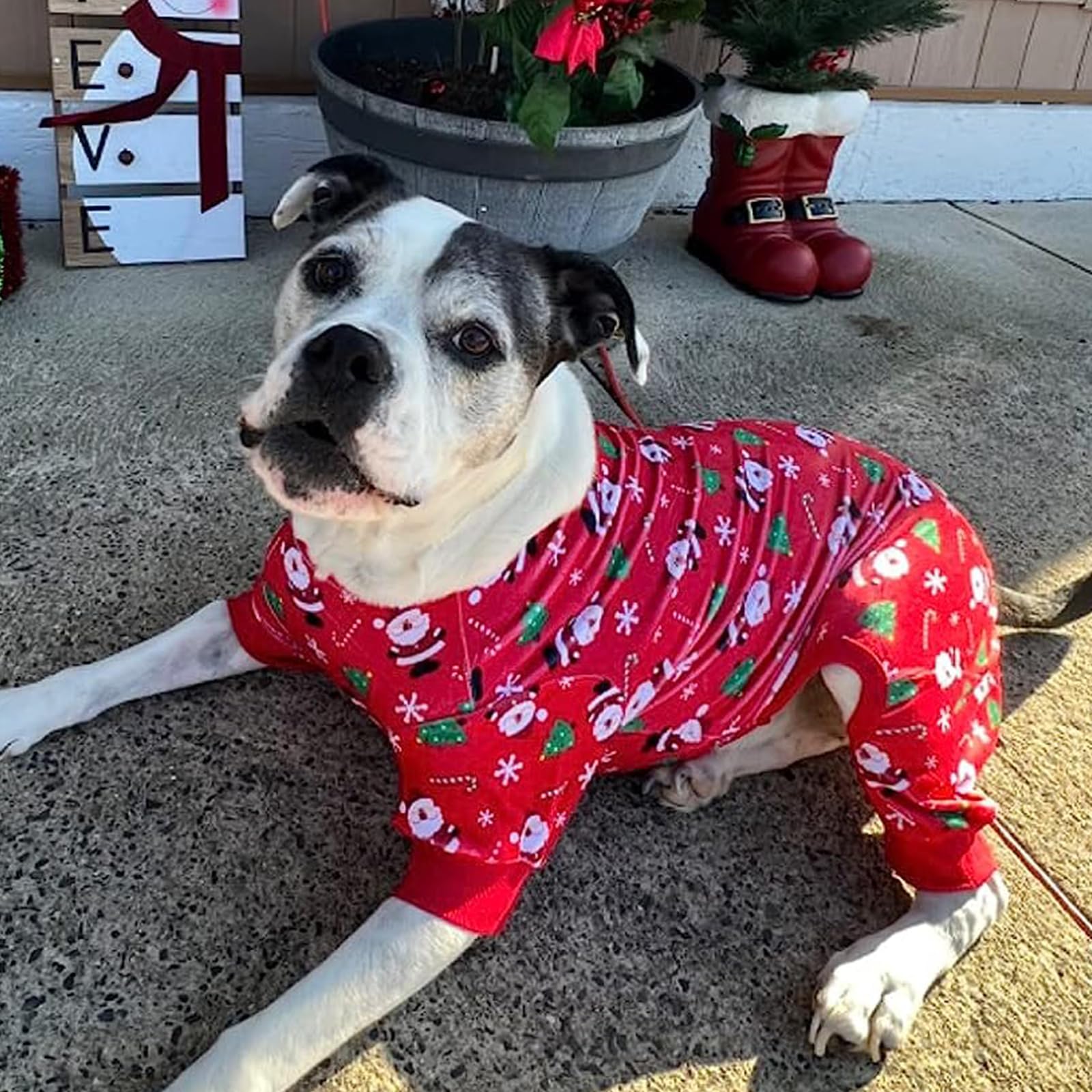 Kyeese Christmas Dog Pajamas For Medium Dogs Santa Claus Dog Pjs Holiday Dog Onesie Soft Velvet