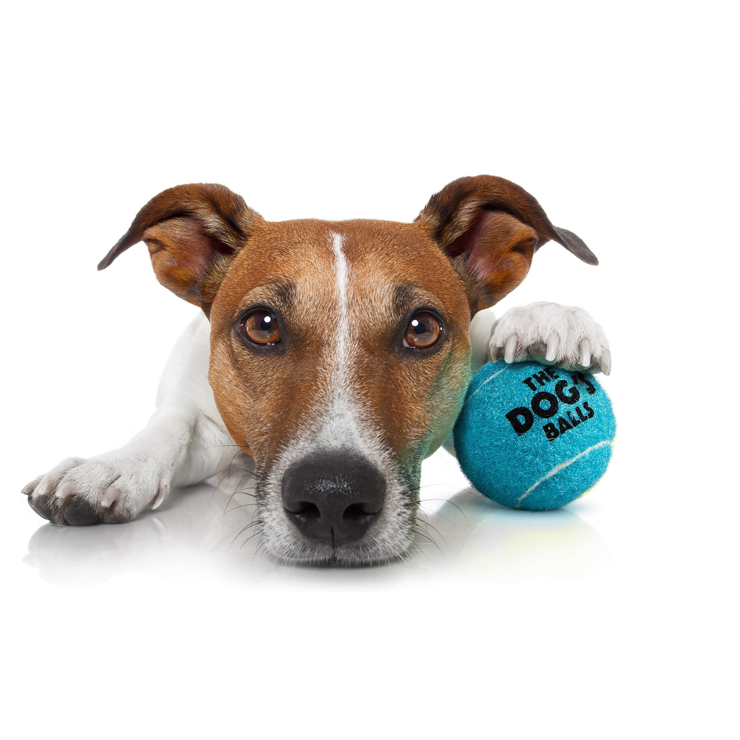 The Little Dog'S Balls, Dog Tennis Balls, 6-Pack Blue Dog Toy, Strong Dog & Puppy Ball For Training, Play, Exercise & Fetch