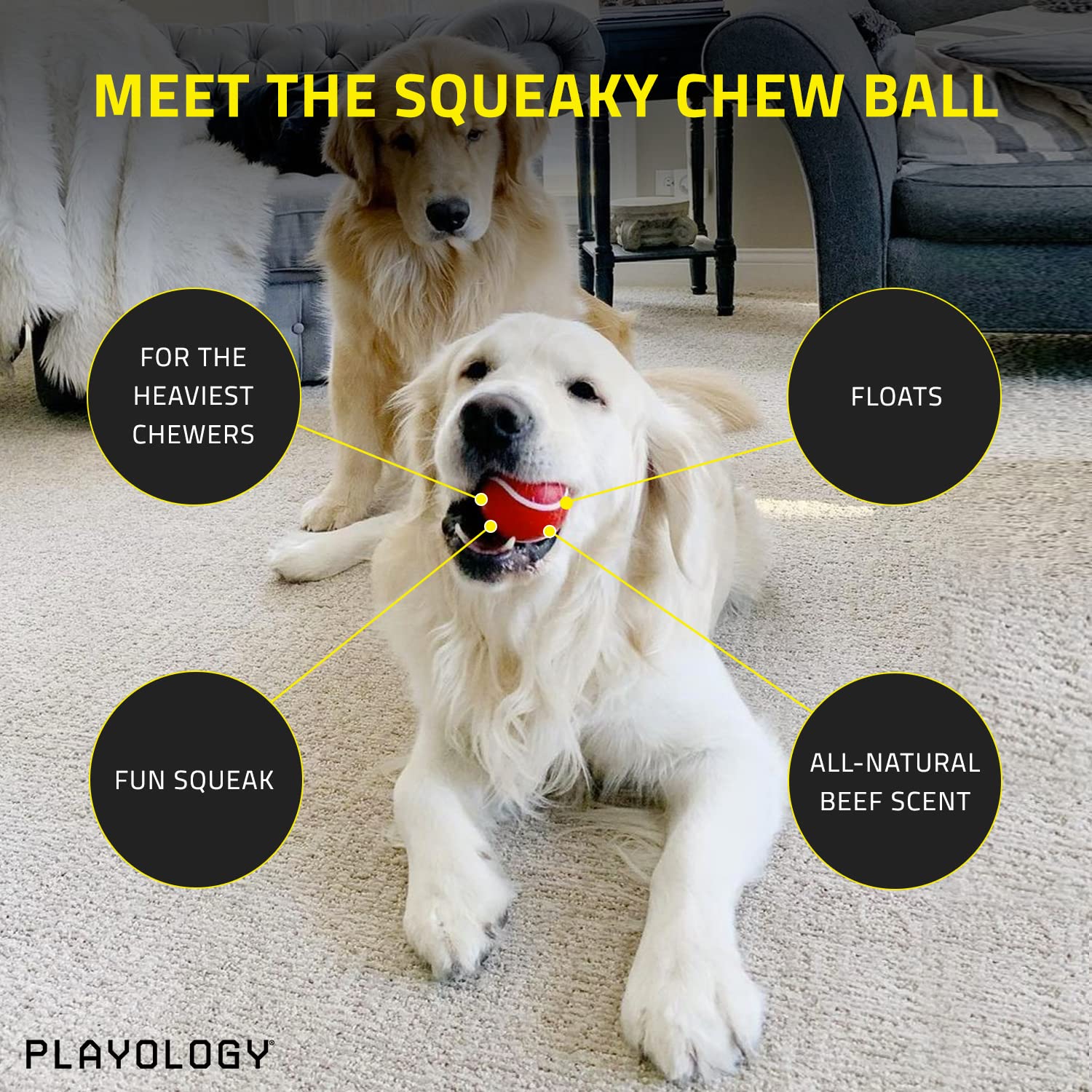 Playology Squeaky Chew Ball Dog Toy, for Extra Large Dogs (50lbs and Up) - for Heaviest Chewers - Engaging All-Natural Beef Scen