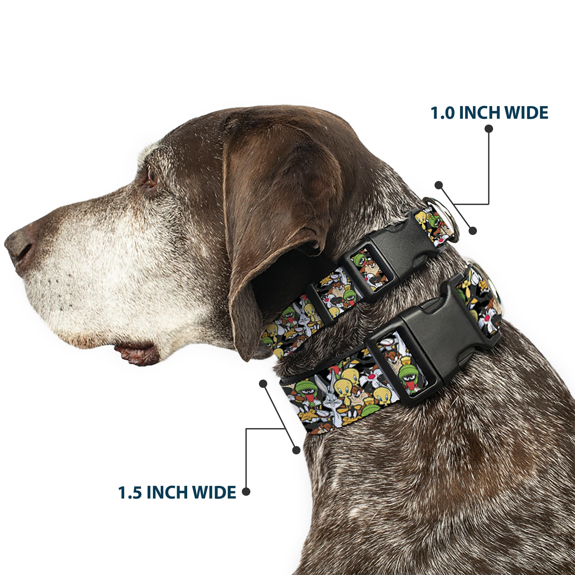 Dog Collar Plastic Clip Looney Tunes 6 Character Stacked Collage4 8 To 12 Inches 0.5 Inch Wide