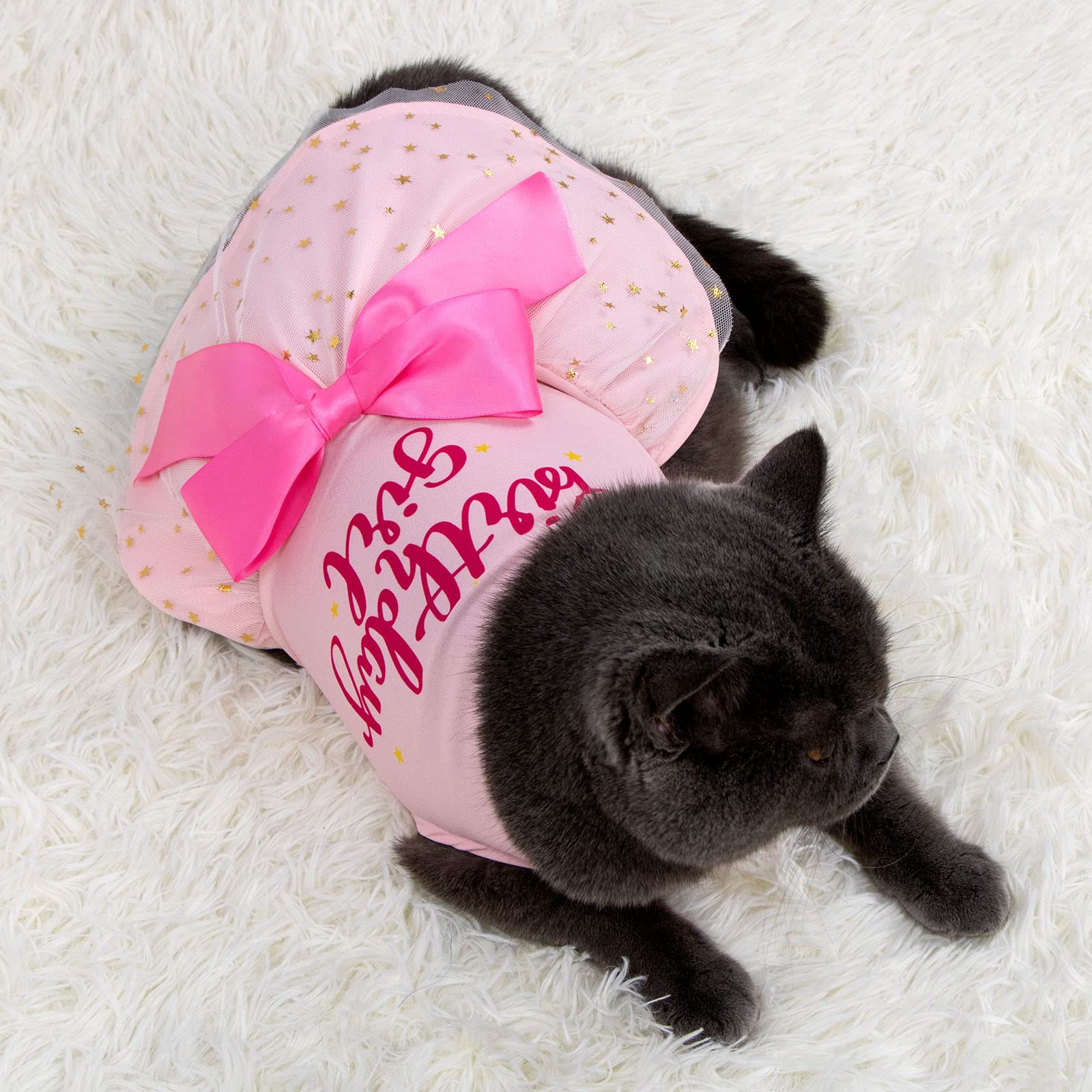 Birthday Girl Dog Tulle Dress - Dog Clothes Holiday Festival Dog Dresses Puppy Party Costumes Doggie Shirts Cat Outfits(X-Small,