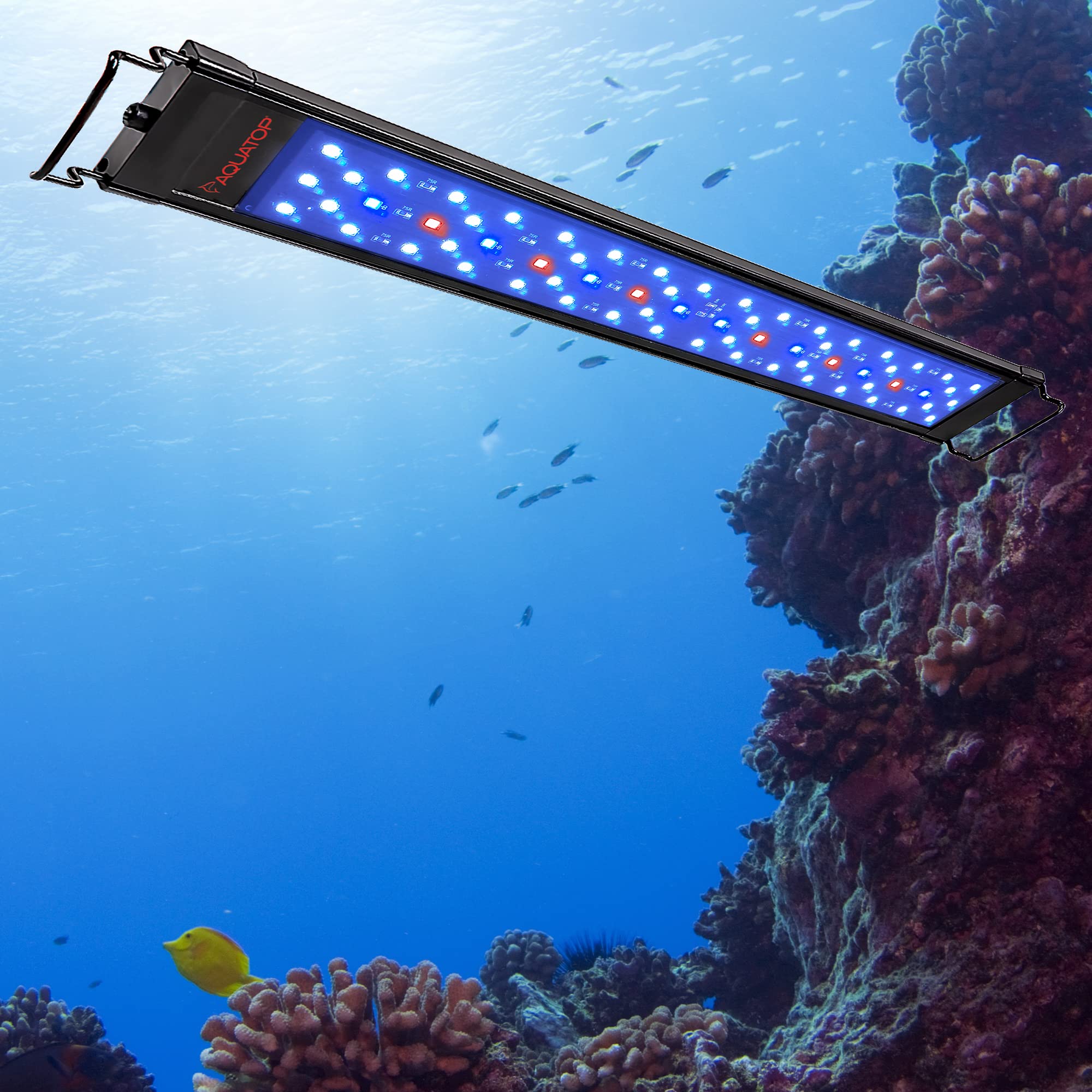 Aquatop Skyaqua Marine Led Saltwater Aquarium Light, 14000K Spectrum – Fits 12-18-Inch Tanks, 3 Position Toggle Switch & Included Remote Control, Aquarium Lights For Fish Tanks, Ul & Csa