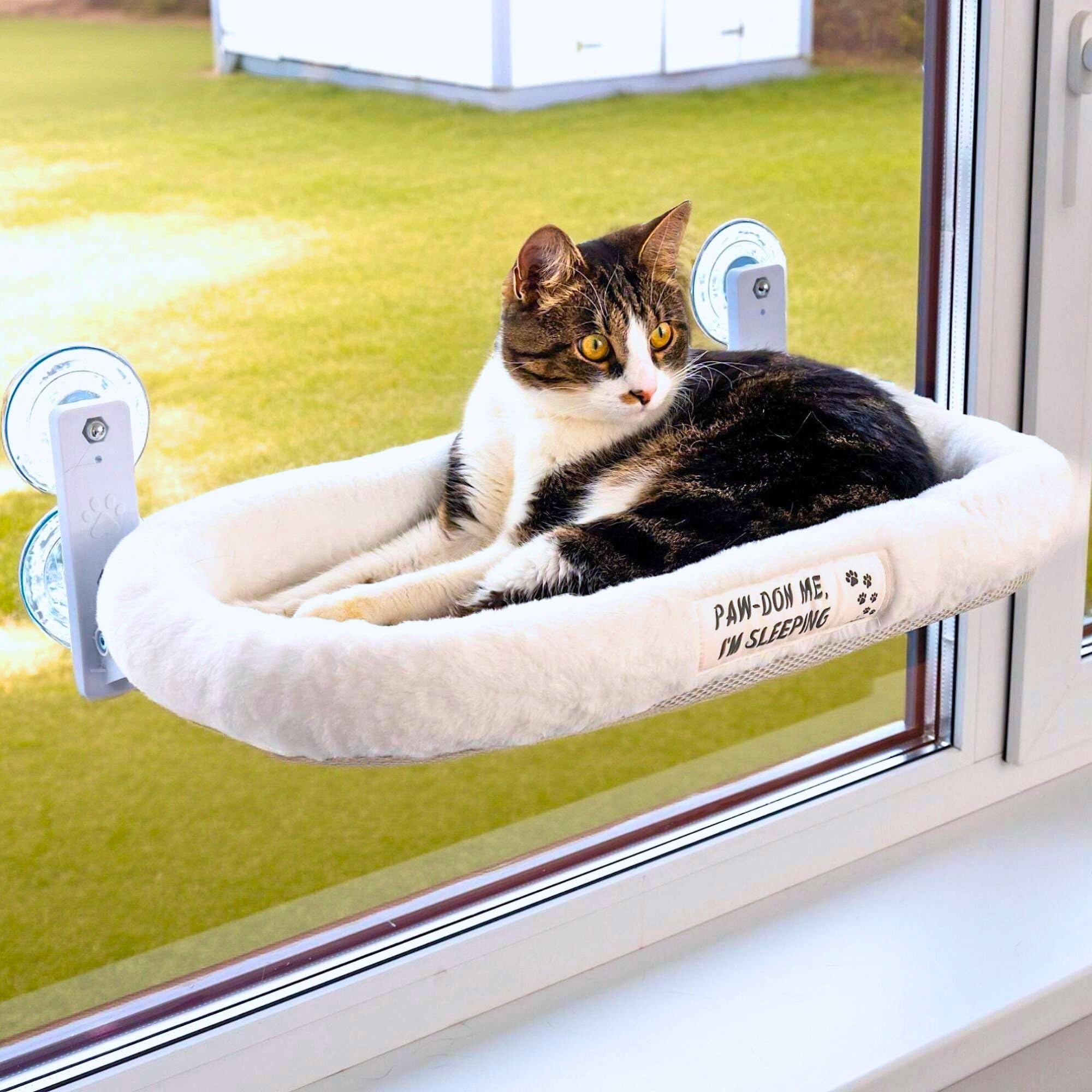 Pawrush Cat Window Perch - Cat Window Bed With 4 Large Premium Suction Cups & Soft Solid Cushion; Strong Rustproof Metal Frame W