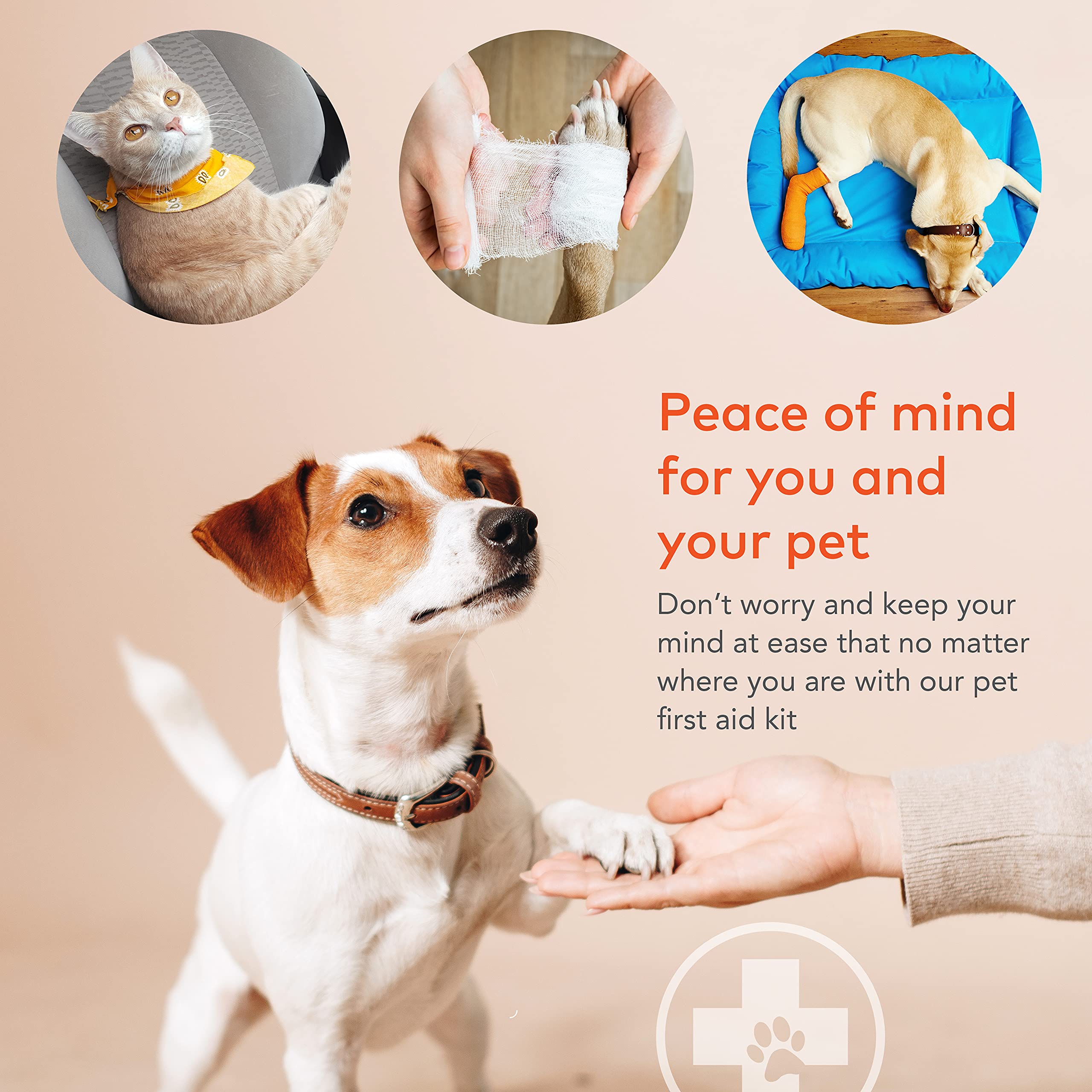 ARCA PET Dog First Aid Kit - Pet Emergency Kit - Water Resistant High Visibility Reflective First Aid Pouch Dog Camping Essentia