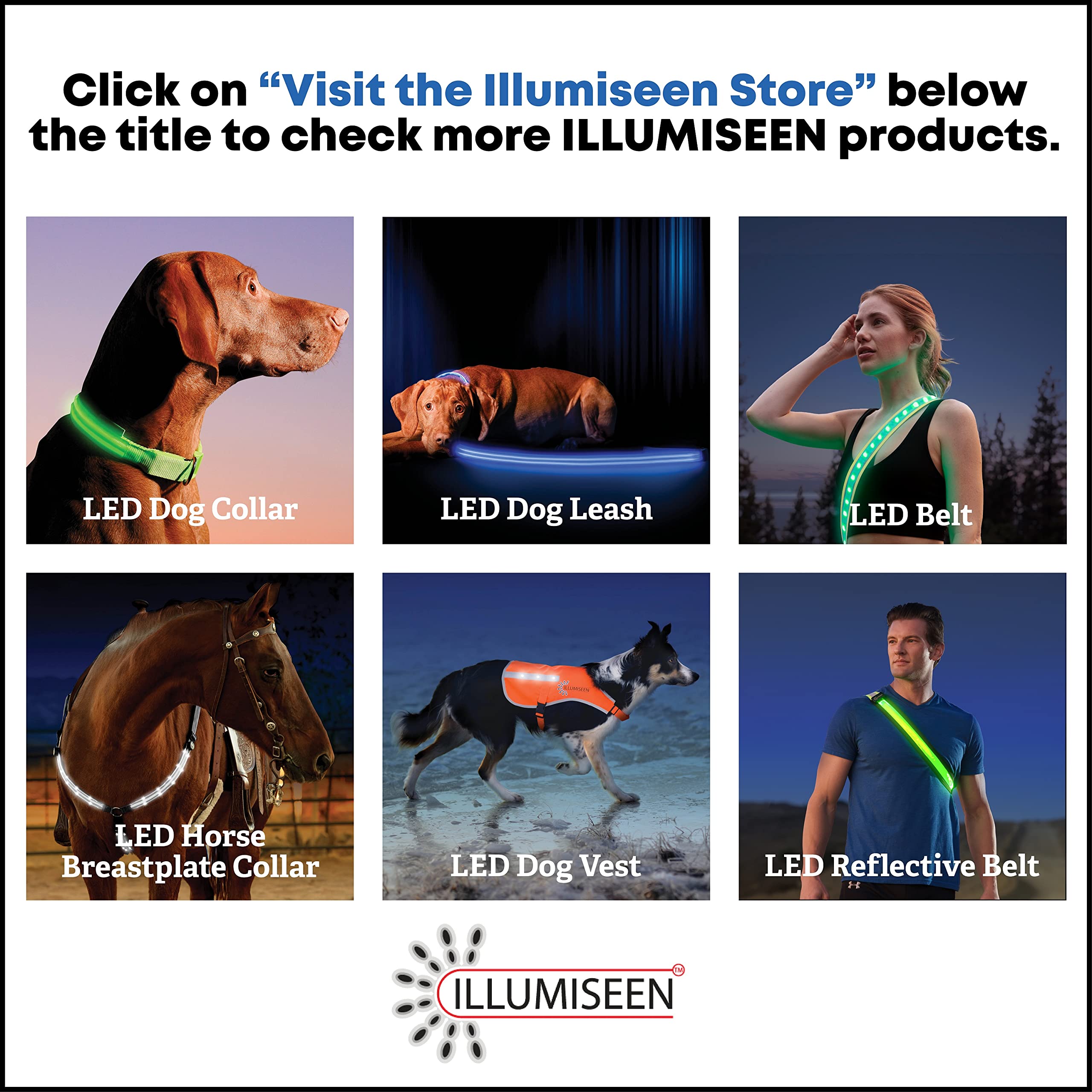 Illumiseen LED Light Up Dog Collar - USB Rechargeable, Weatherproof, X-Large (Bright Orange)