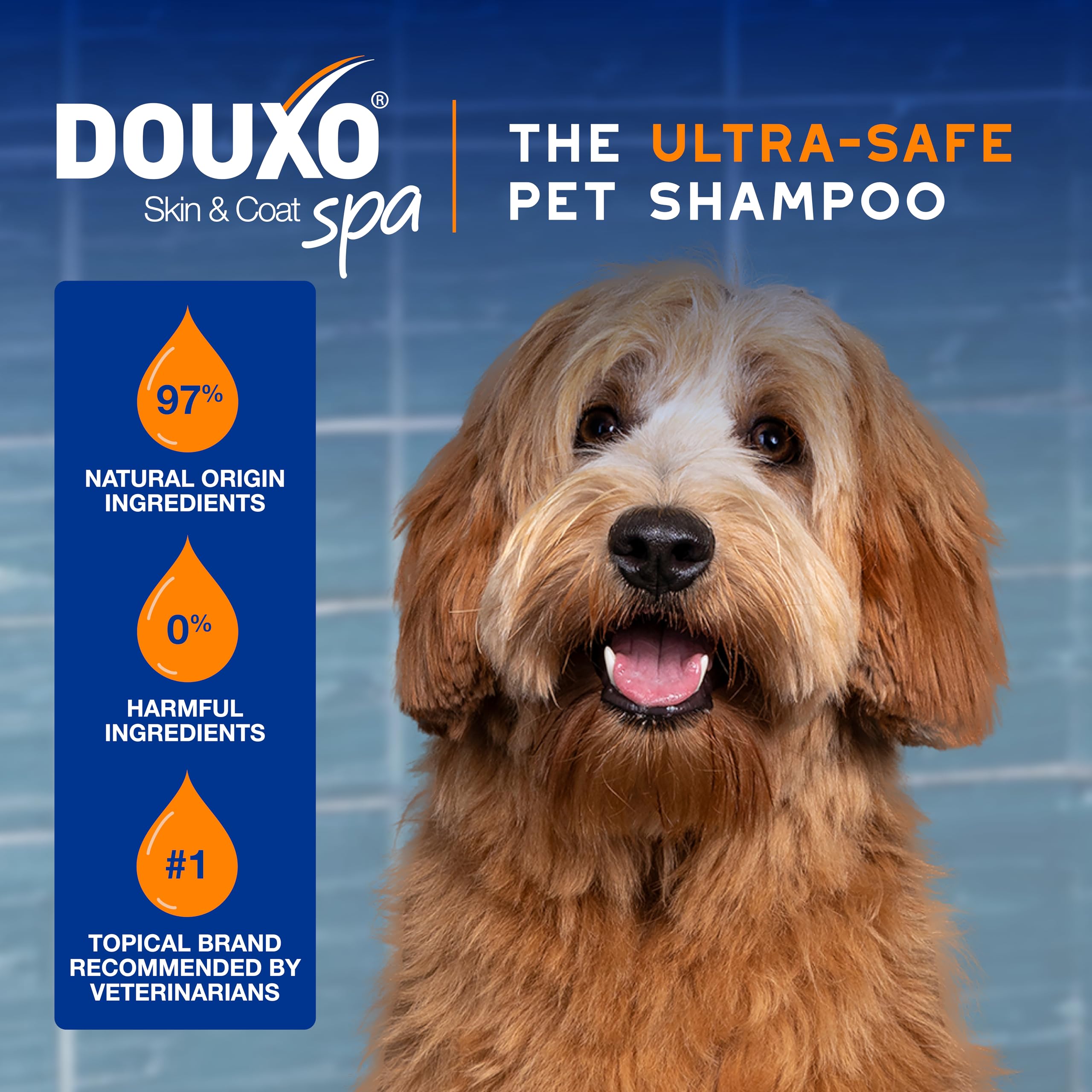 Douxo Skin & Coat Spa - Ultra-Safe Detangling Spray For Dogs, 10 Fl Oz, Safely Detangles And Nourishes The Coat, Leaves The Coat
