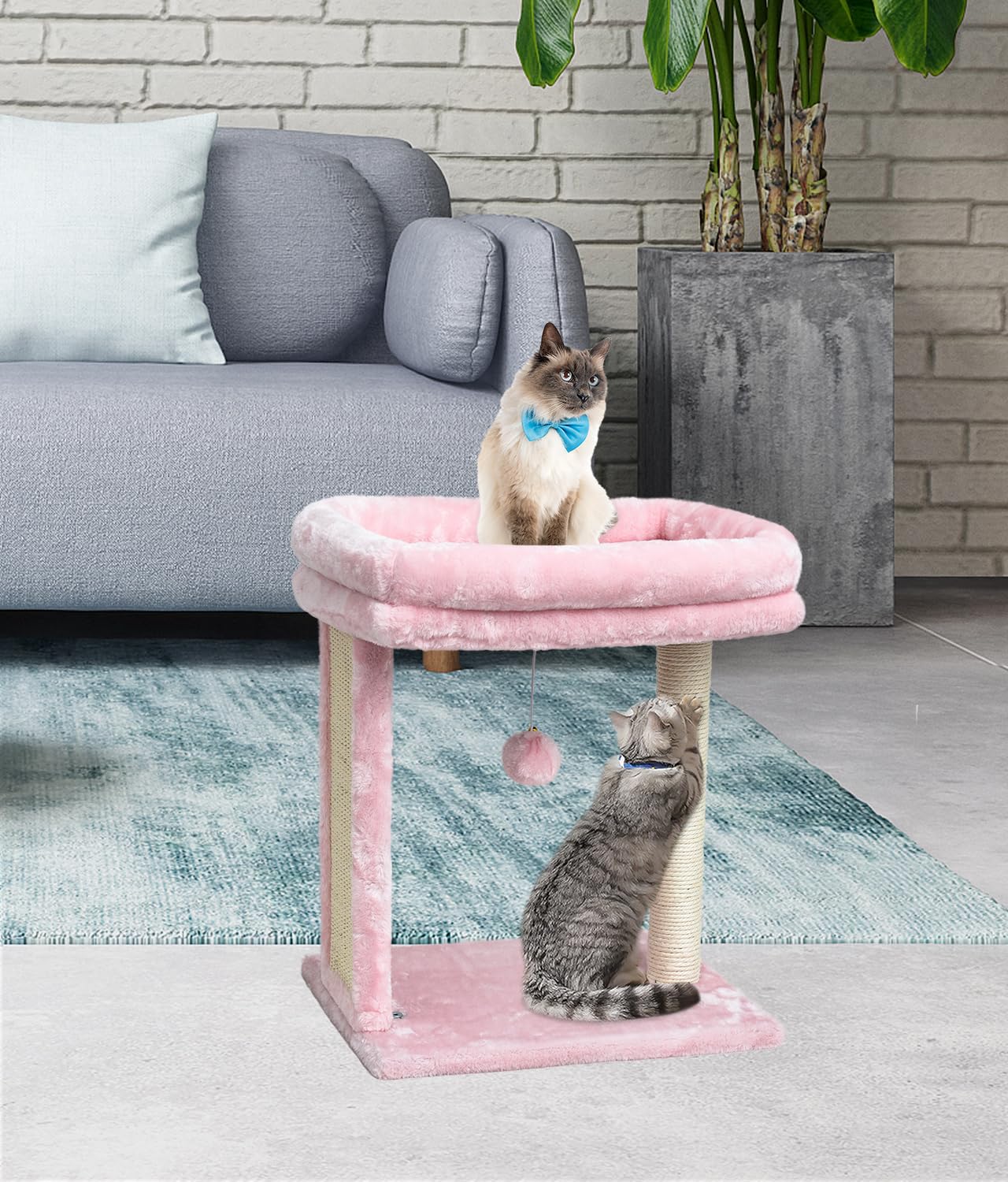 Syandlvy Small Cat Tree For Indoor Cats, Scratching Board With Perch & Scratching Post, Kittens Scratcher With 2 Dangling Balls,