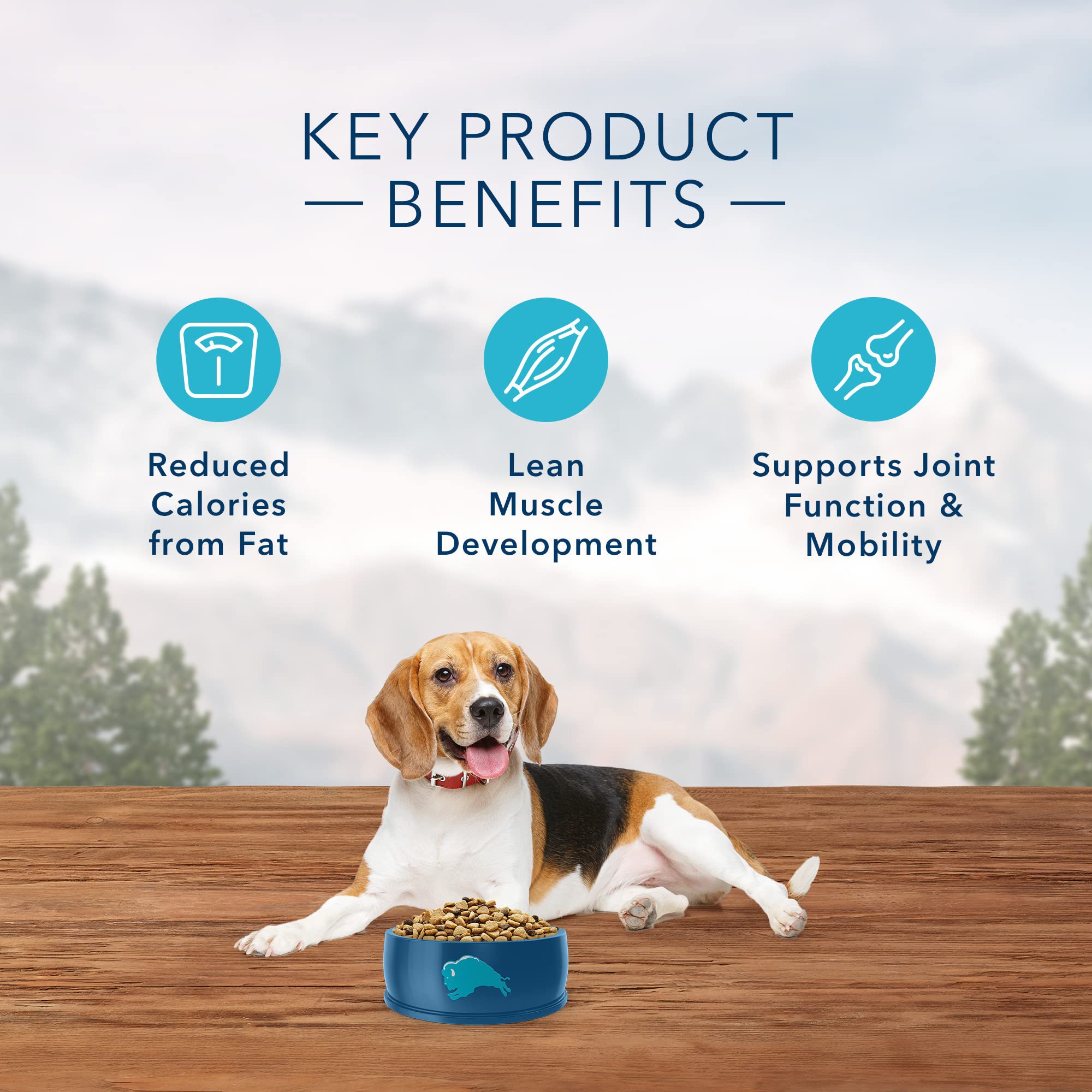 Blue Buffalo Wilderness High Protein, Natural Adult Healthy Weight Dry Dog Food, Chicken 24-lb