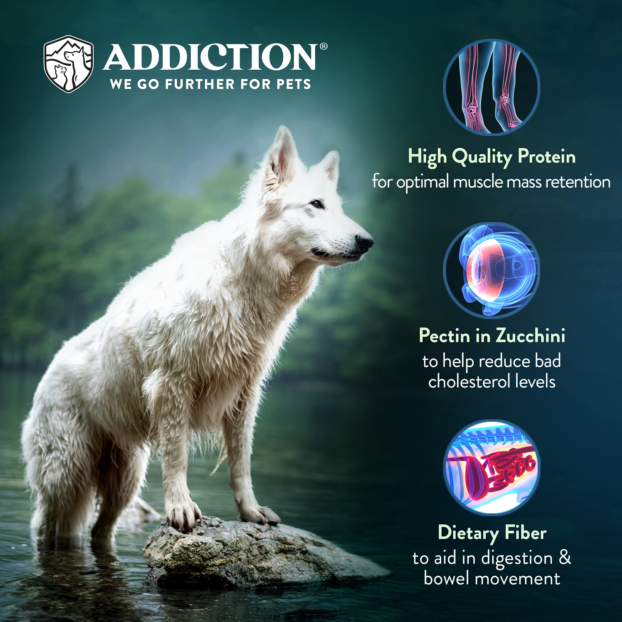Addiction Steakhouse Beef & Zucchini Air-Dried Grain-Free Dog Food - Complete Meal or Topper with Natural Ingredients for Digest