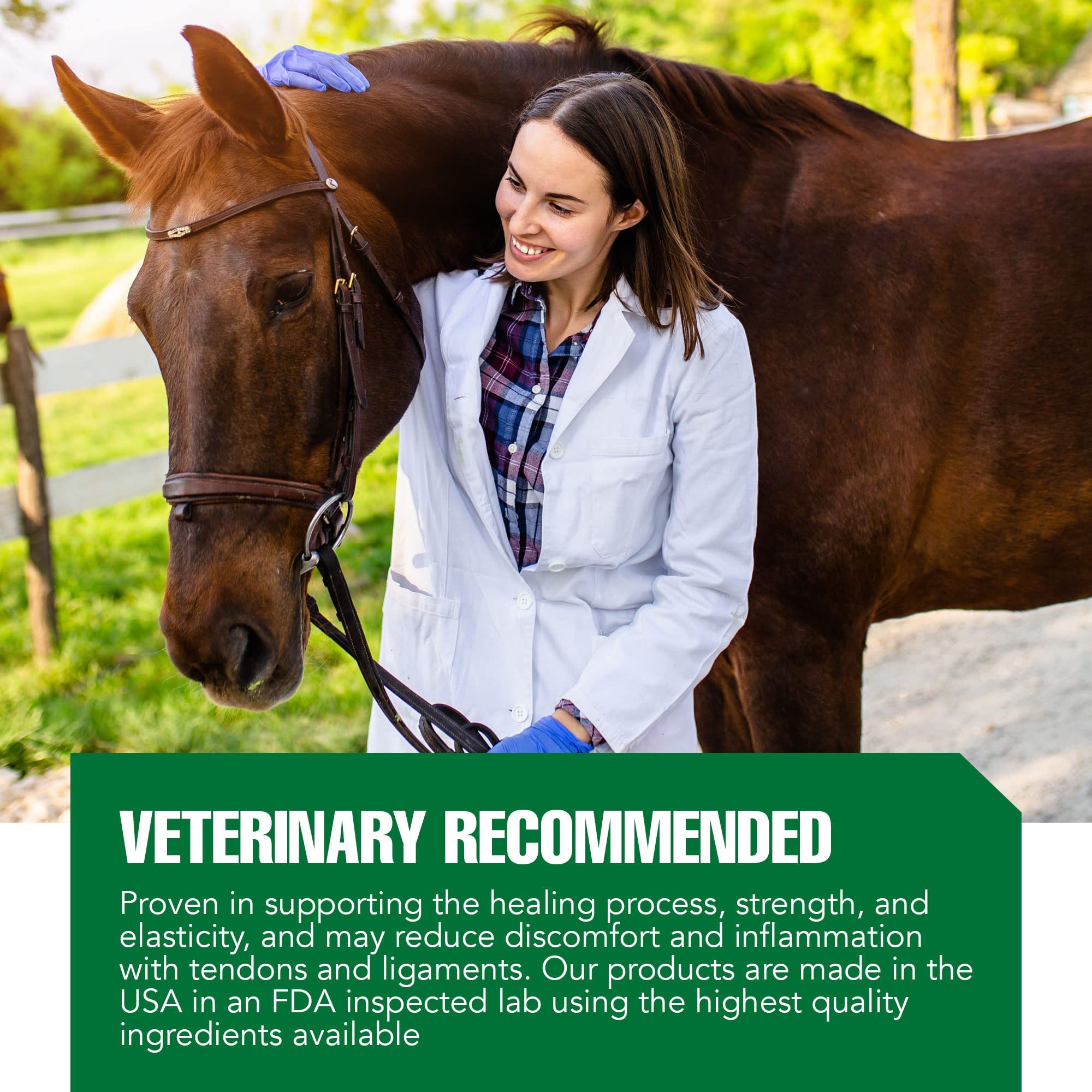 Ramard Total Tendon Repair -Advanced Powder Supplement with Vitamin C, Collagen, and MSM for Horse Joint, Ligament, and Tendon S