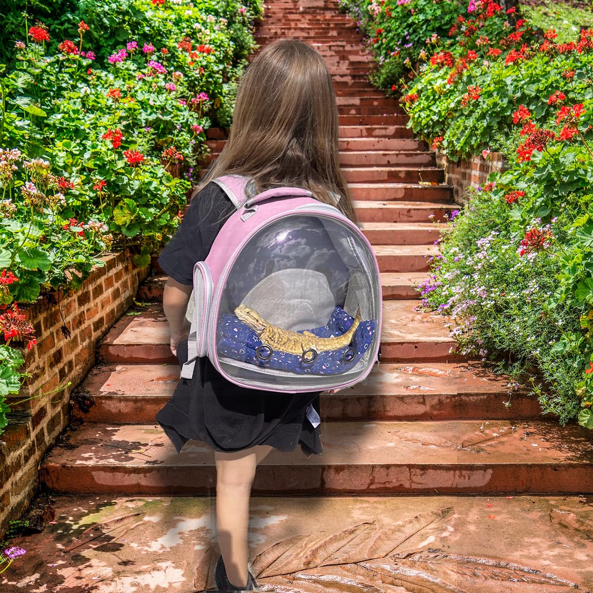 Hamster Backpack Carrier, Bearded Dragon Carrier Backpack With Clear Bubble Window,Small Animal Travel Backpack For Hedgehog Rat,Chameleon,Rabbit,Sugar Glider,Airline Approved (Pink, Backpack)