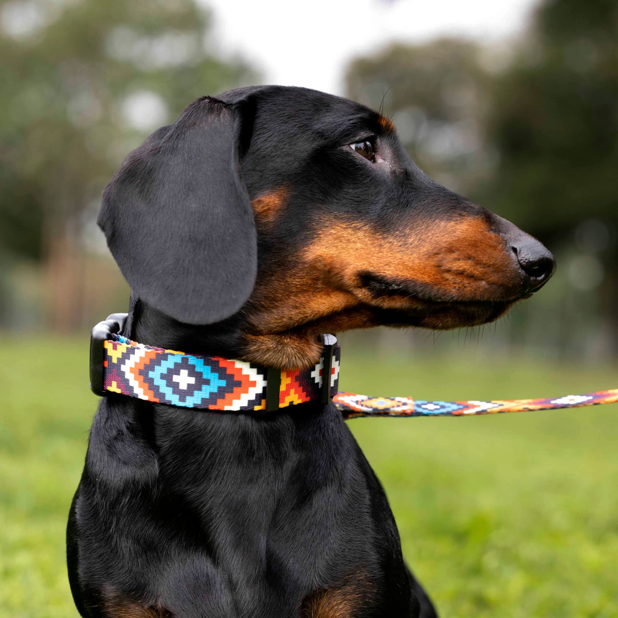 Collardirect Aztec Dog Collar Adjustable Nylon Tribal Pattern Geometric Pet Collars For Dogs Small Medium Large Puppy (Aztec Sun