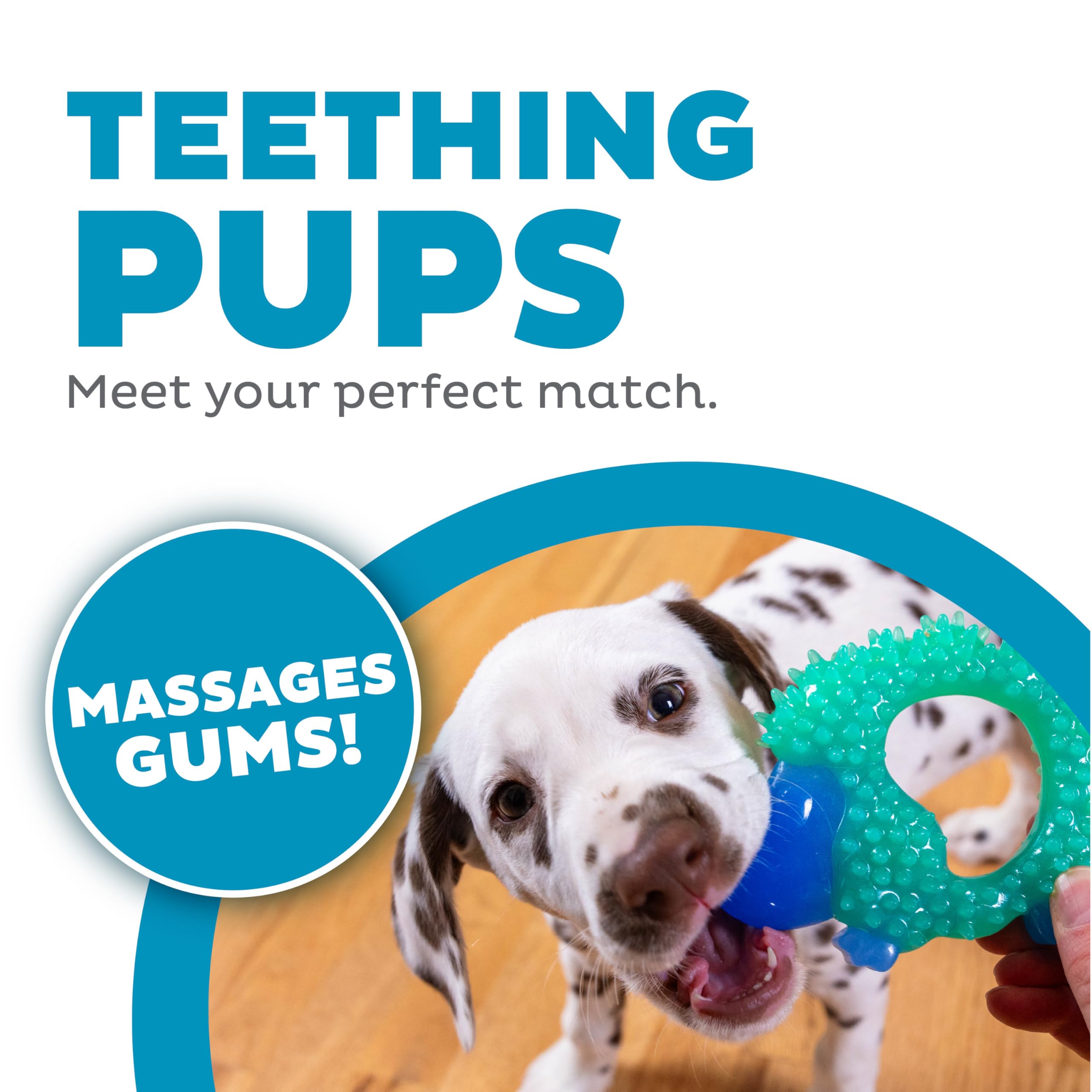 Outward Hound Cutie Chewies Hedgehog Dental Dog Chew Toy, Blue