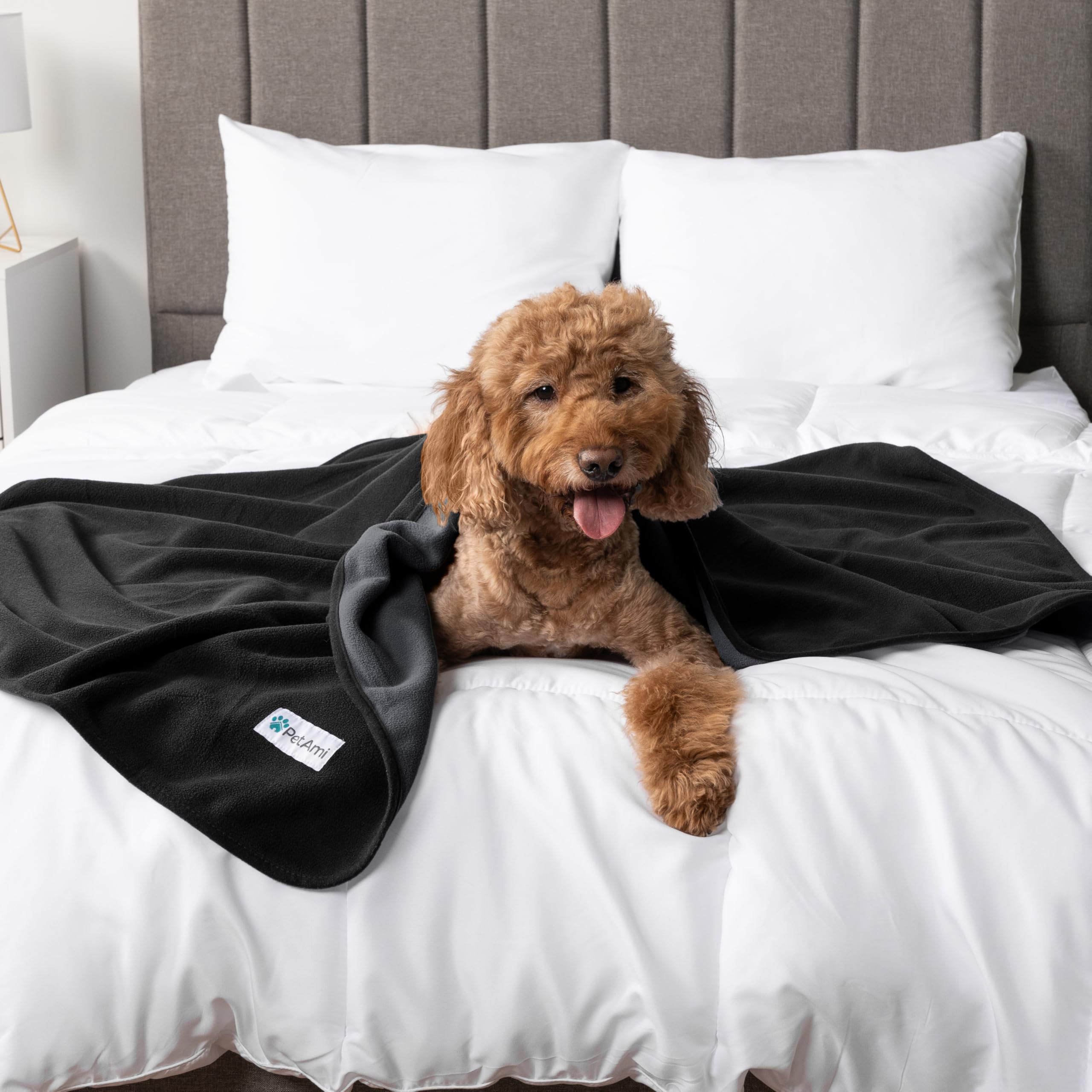 Petami Waterproof Dog Blanket For Extra Large Pets Dogs Cats, Large Pet Couch Cover Protector For Furniture, Reversible Washable Soft Fleece Cat Blanket For Bed Couch Sofa, 60X80 (Black/Gray)