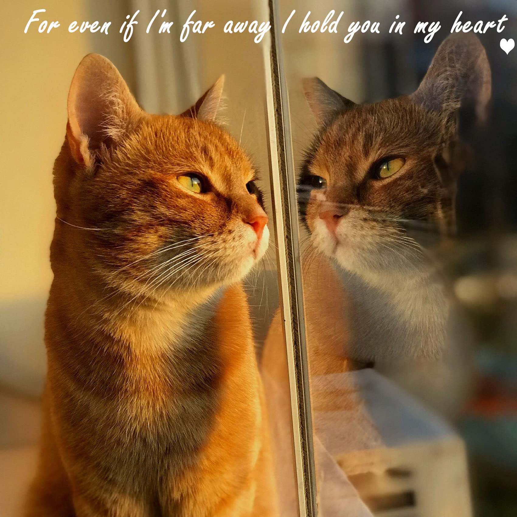Lcensp Orange Cat Glass Ornament For Cat Lovers, Tabby Cat Memorial Gift, Hanging Cat Suncatcher Decor For Window, White Moon De