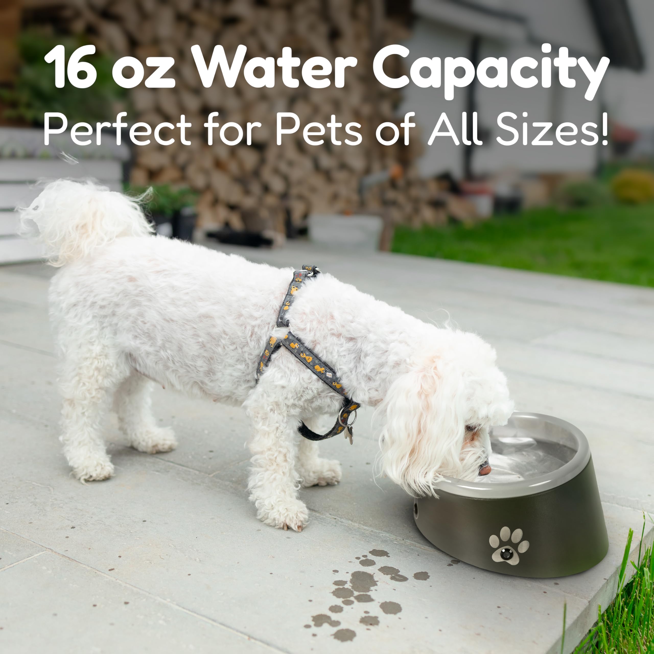 Thirstalert 16 Oz Dog/Cat Water Bowl, Led Lights Blink When Water Level Reaches Near To Empty, Food Grade Abs & Melamine