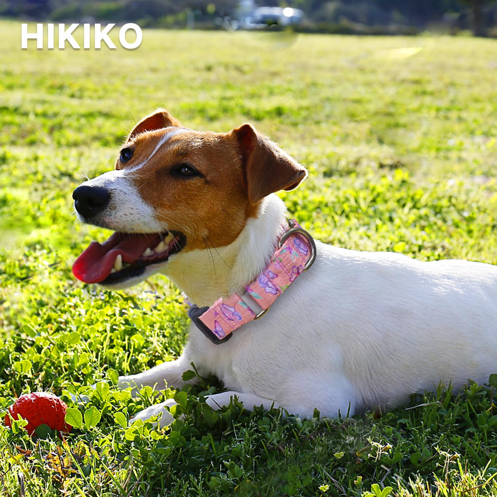 Hikiko Martingale Collar For Dogs Adjustable Soft Nylon Dog Collars With Cute Patterns For Small Medium Large Dog(Pink Butterfly
