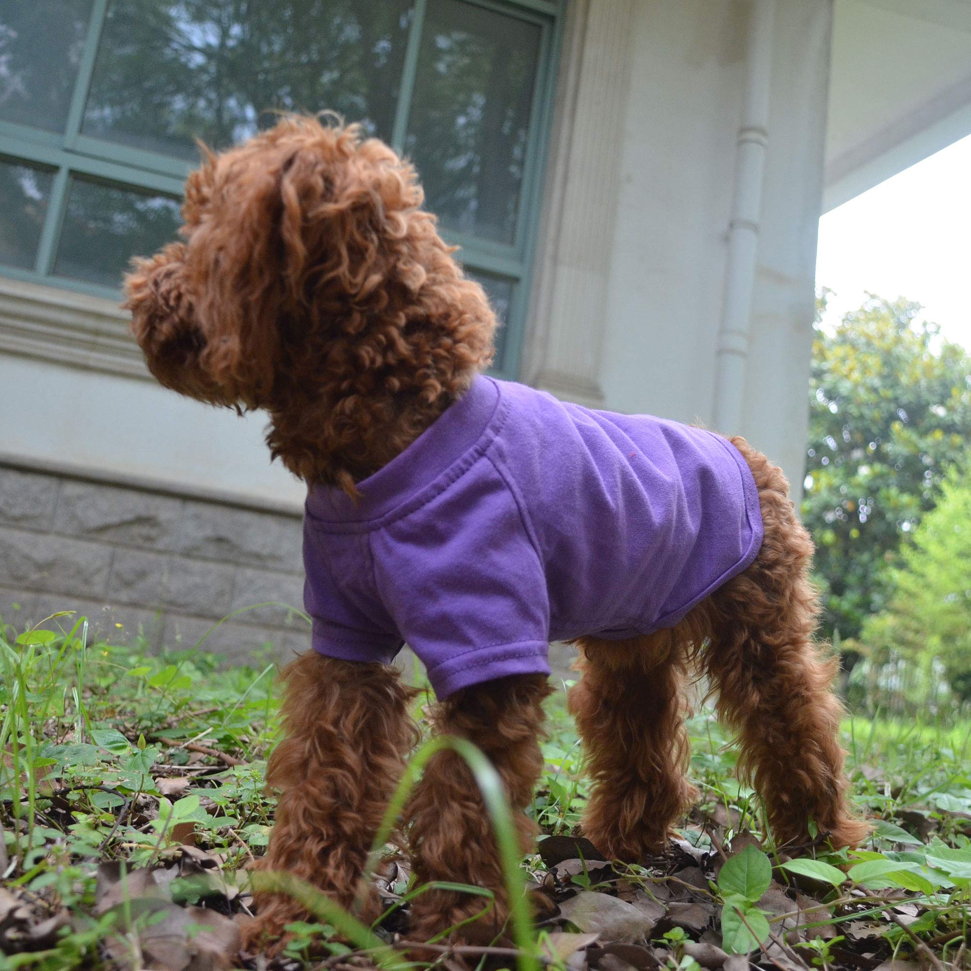 Lovelonglong 2019 Pet Clothing Dog Costumes Basic Blank T-Shirt Tee Shirts For Small Dogs Purple Xs