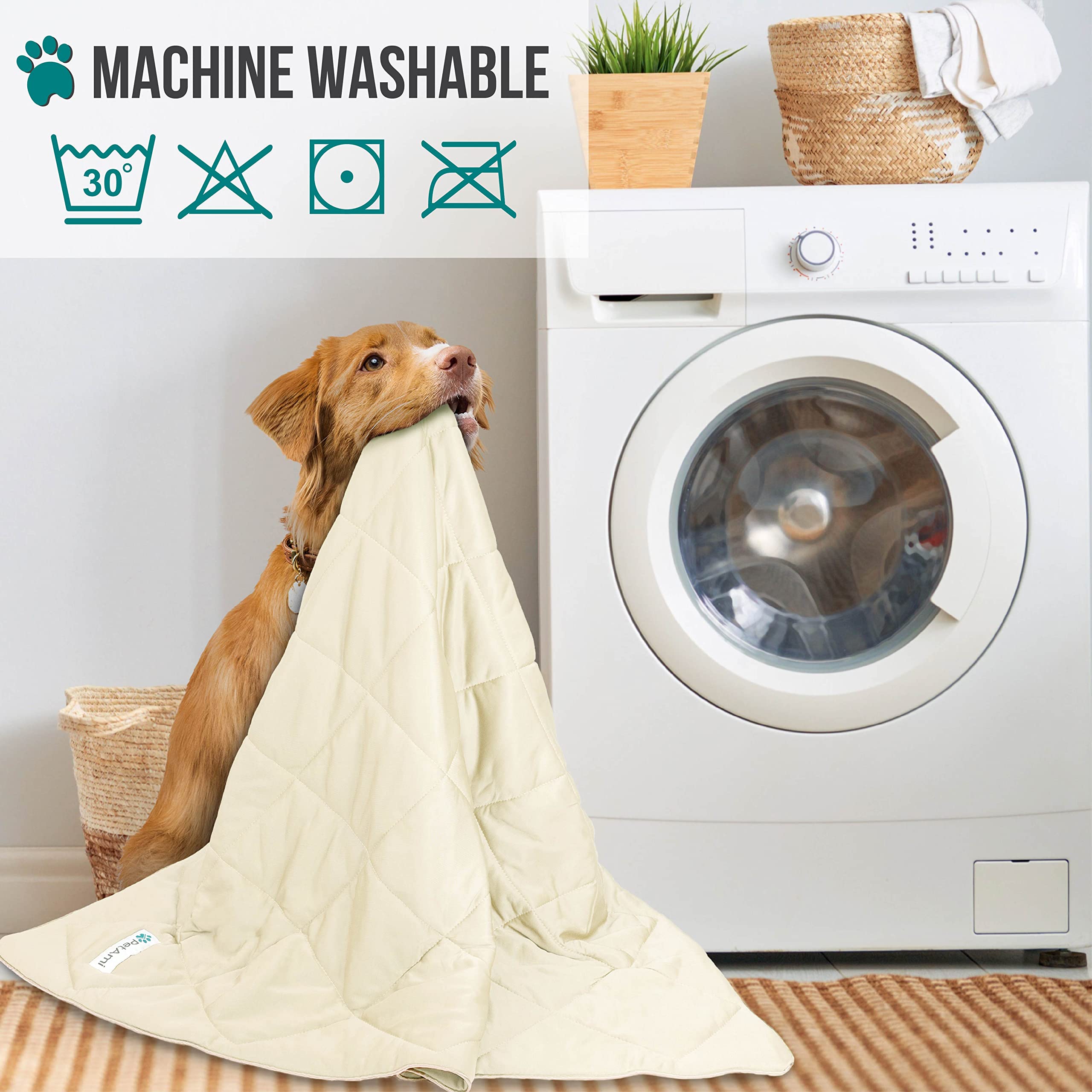 Petami Premium Cooling Dog Blanket | Lightweight Fluffy Pet Throw Blanket Bed Cover For Dogs, Cat, Puppies | Pet Blanket Furniture Protector Couch Sofa | Reversible Fuzzy Cozy | 60X80, Beige Latte