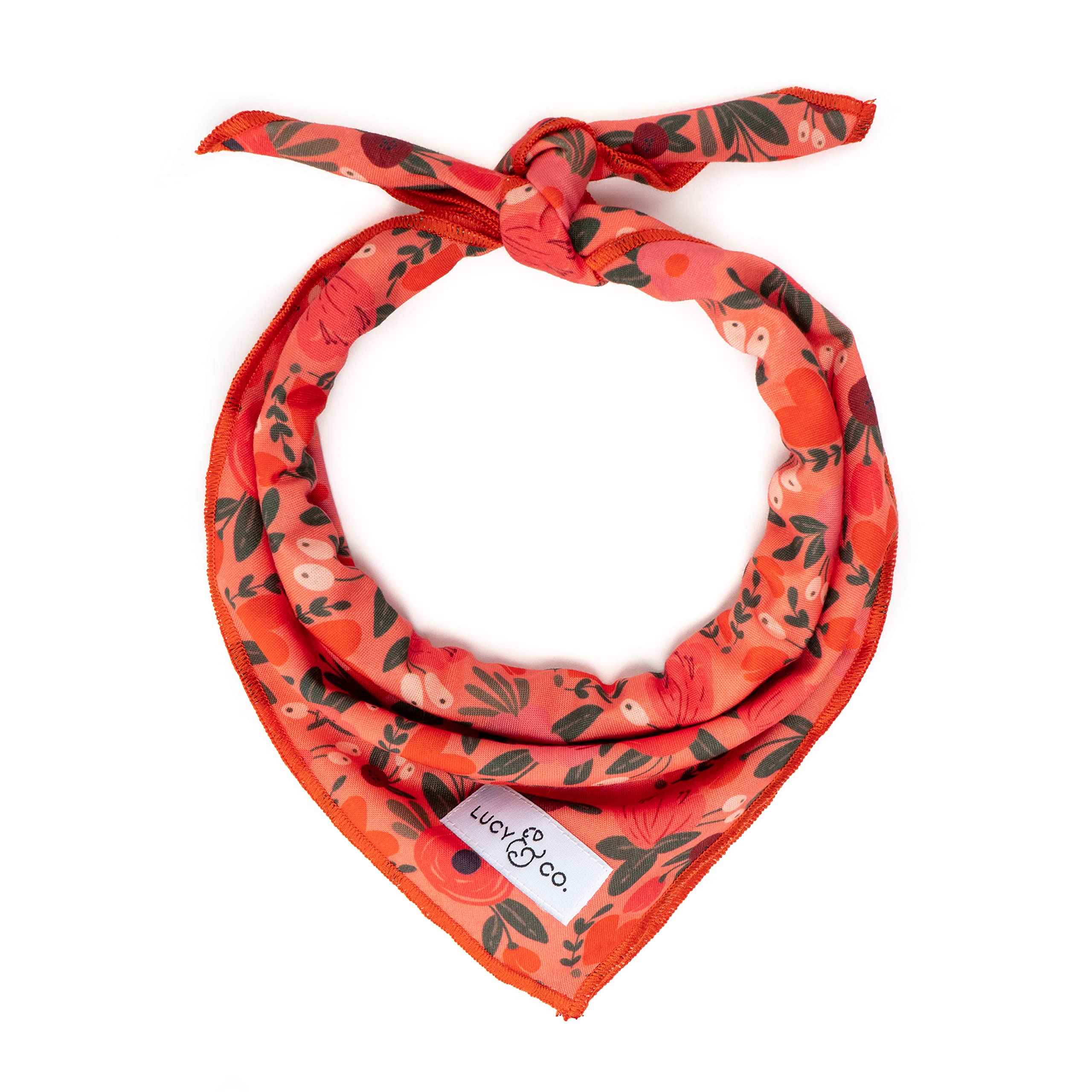 Lucy & Co. Dog Bandana - Designer Puppy Accessory For Boy And Girl Dogs. Made Of 100% Polyester. Soft, Stylish And Appropriate F