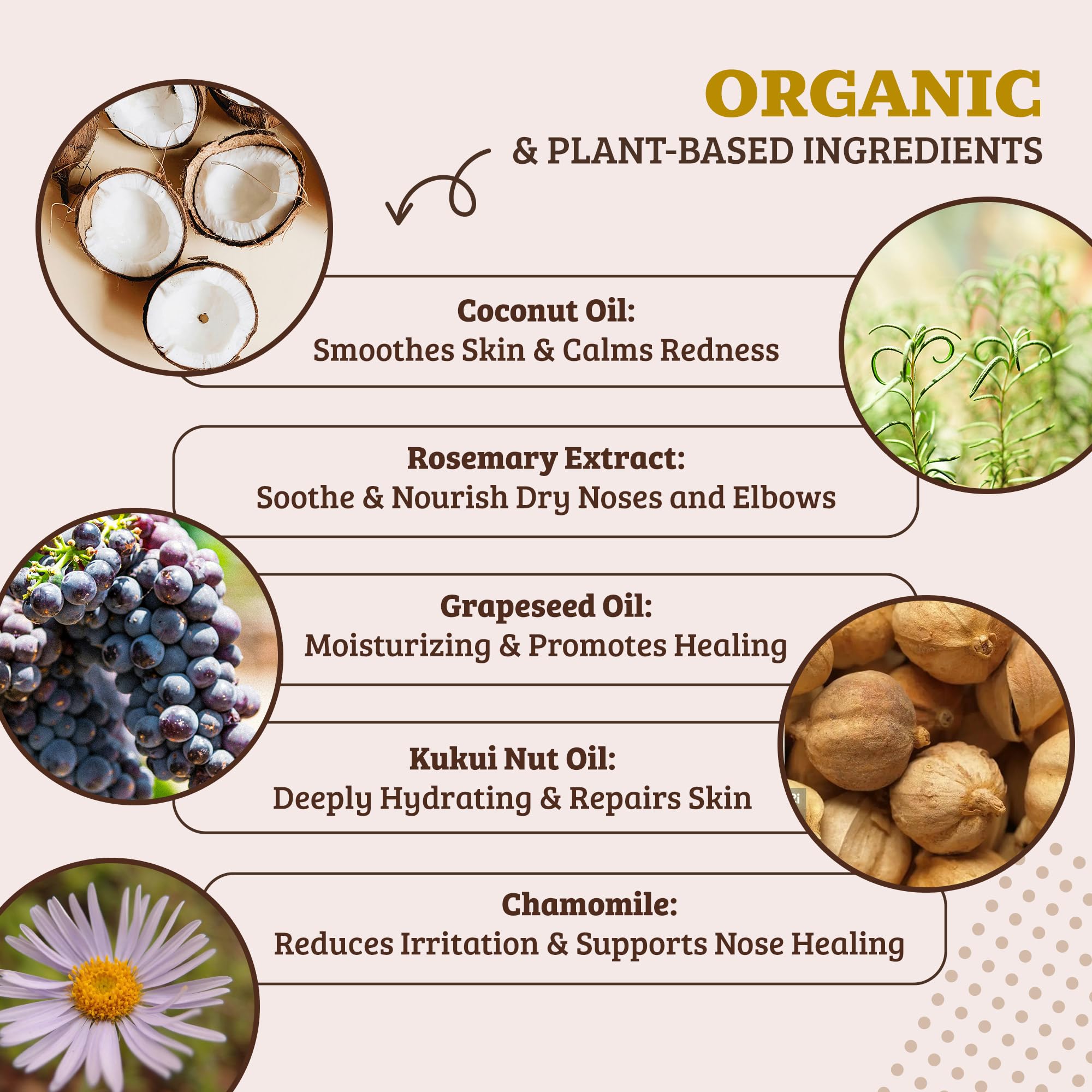 Natural Dog Company Snout Soother, Dog Nose Balm, Wax & Cream for Dry, Cracked Noses, Heals & Moisturizes with Shea Butter & Coc