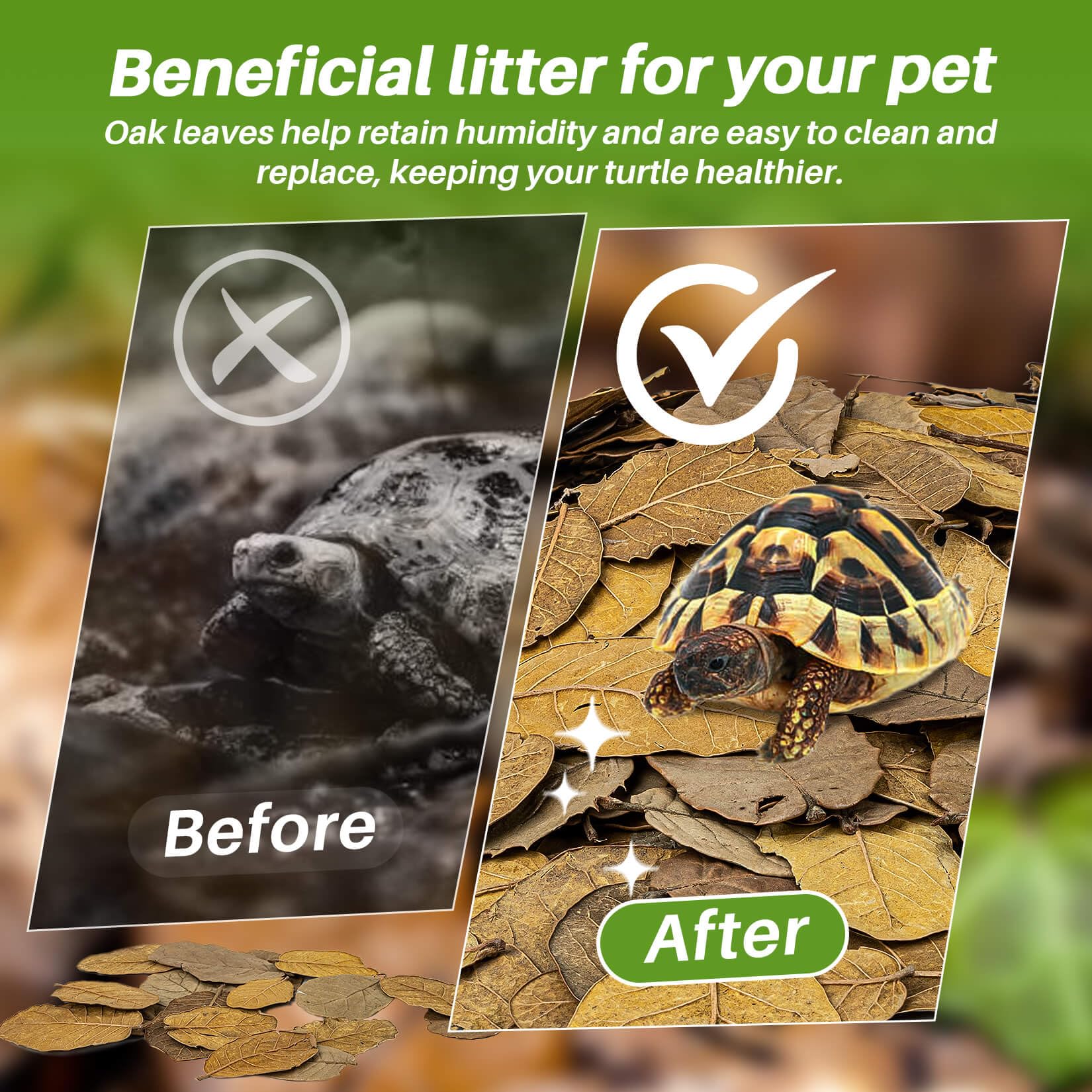 MAQIHAN 4.9 OZ Dry Oak Leaf Litter - Leaf Litter for Reptiles Oak Leaves for Isopods Live Substrate for Snakes; Frogs; Isopods;