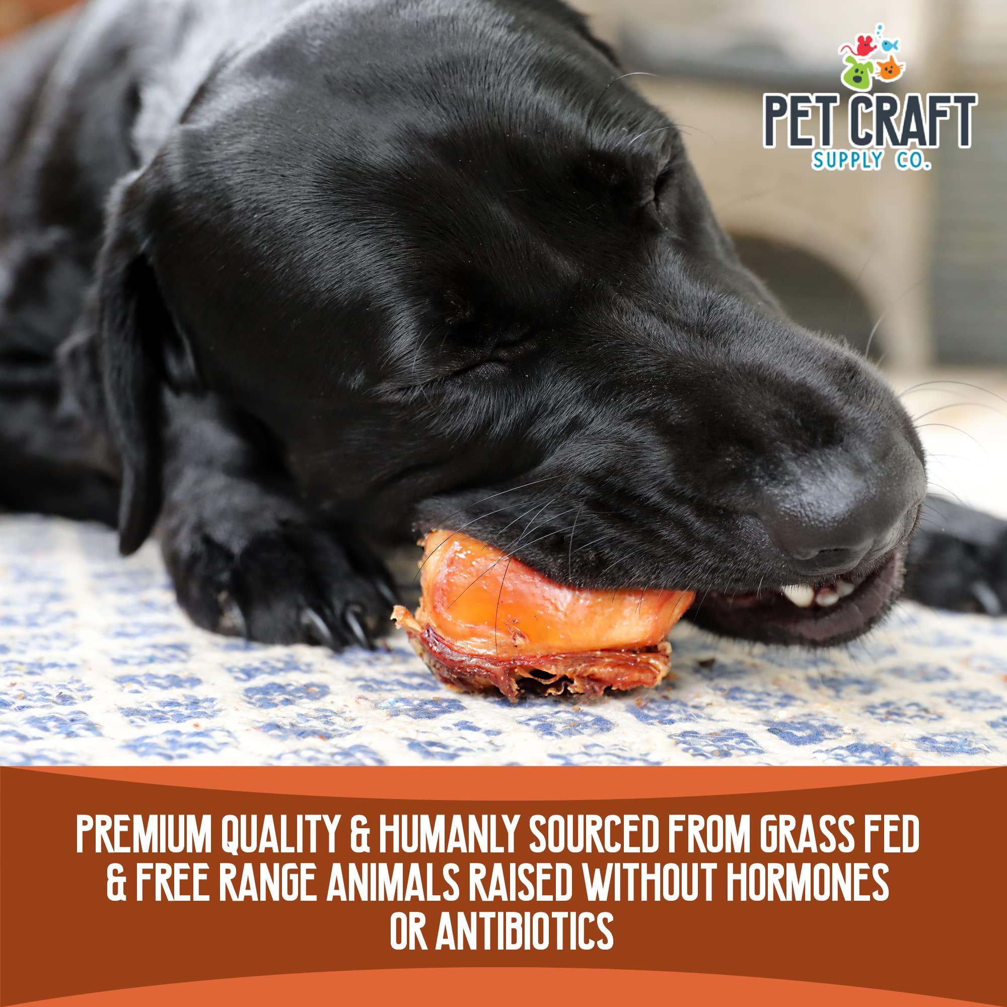 Pet Craft Supply Meaty Buffalo Knee Caps Dog Treats, 10 Count, Rawhide Free, Grain Free, Long Lasting Chew for Aggressive Chewers