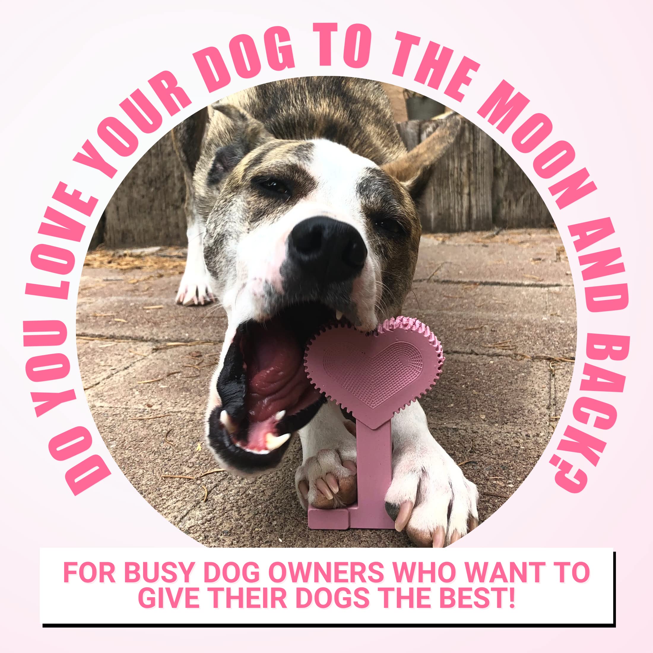 Bullibone Nylon Dog Chew Toy Nylon Bone - Improves Dental Hygiene, Easy To Grip Bottom, And Permeated With Flavor (Peppermint, Large - 2 Pack)