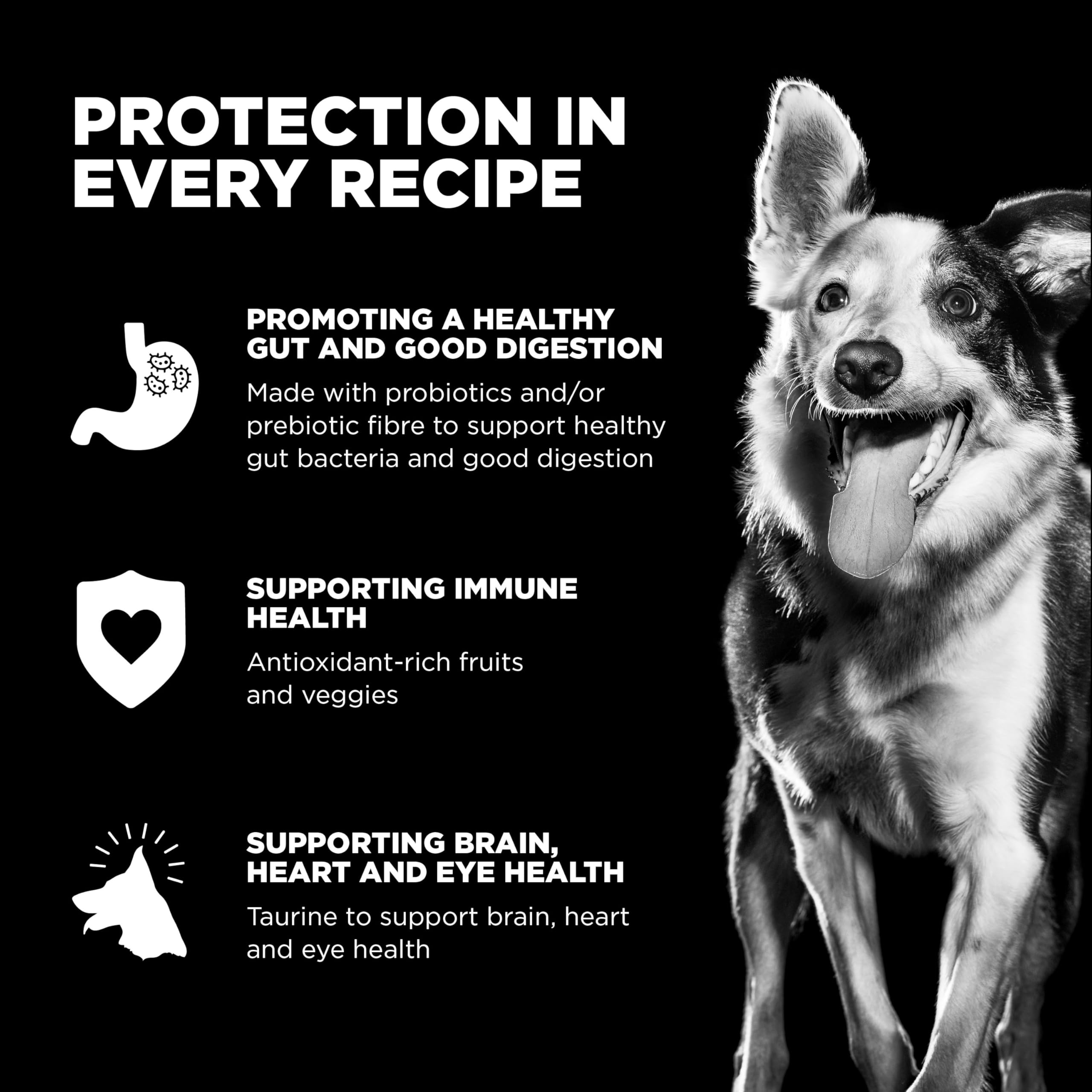 Go! Solutions Sensitivities Limited Ingredients, Grain-Free Dry Dog Food, Duck Recipe for Sensitive Stomach, 22 lb Bag