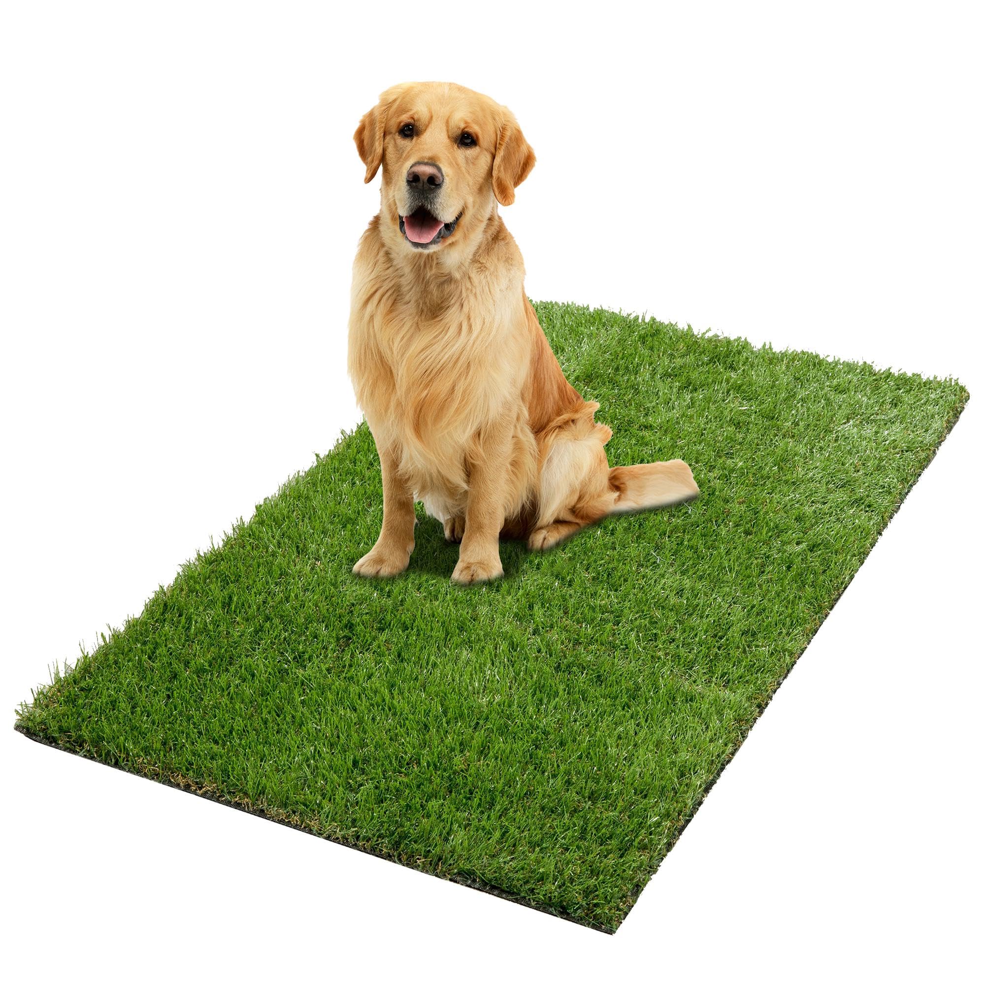 Ottomanson Artificial Grass Puppy Potty Training Pad, 2 x 27 Reusable Pee Pad for Small Pets and Dogs