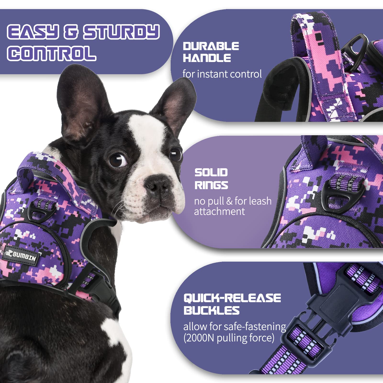 No Pull Dog Harness for Small Dogs, Adjustable No Choke Pet Vest with Dog Leash Fit Smart Reflective Pet Walking Harness for Tra