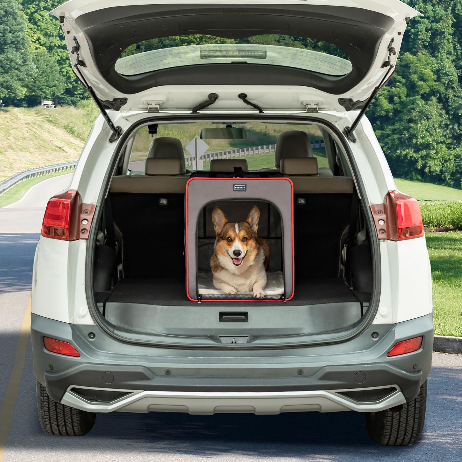 Petsfit Portable Dog Crate, Collapsible Dog Crate - 24 Inch With Thicken Mat, Easy To Fold, Sturdy And Portable, Perfect For Tra