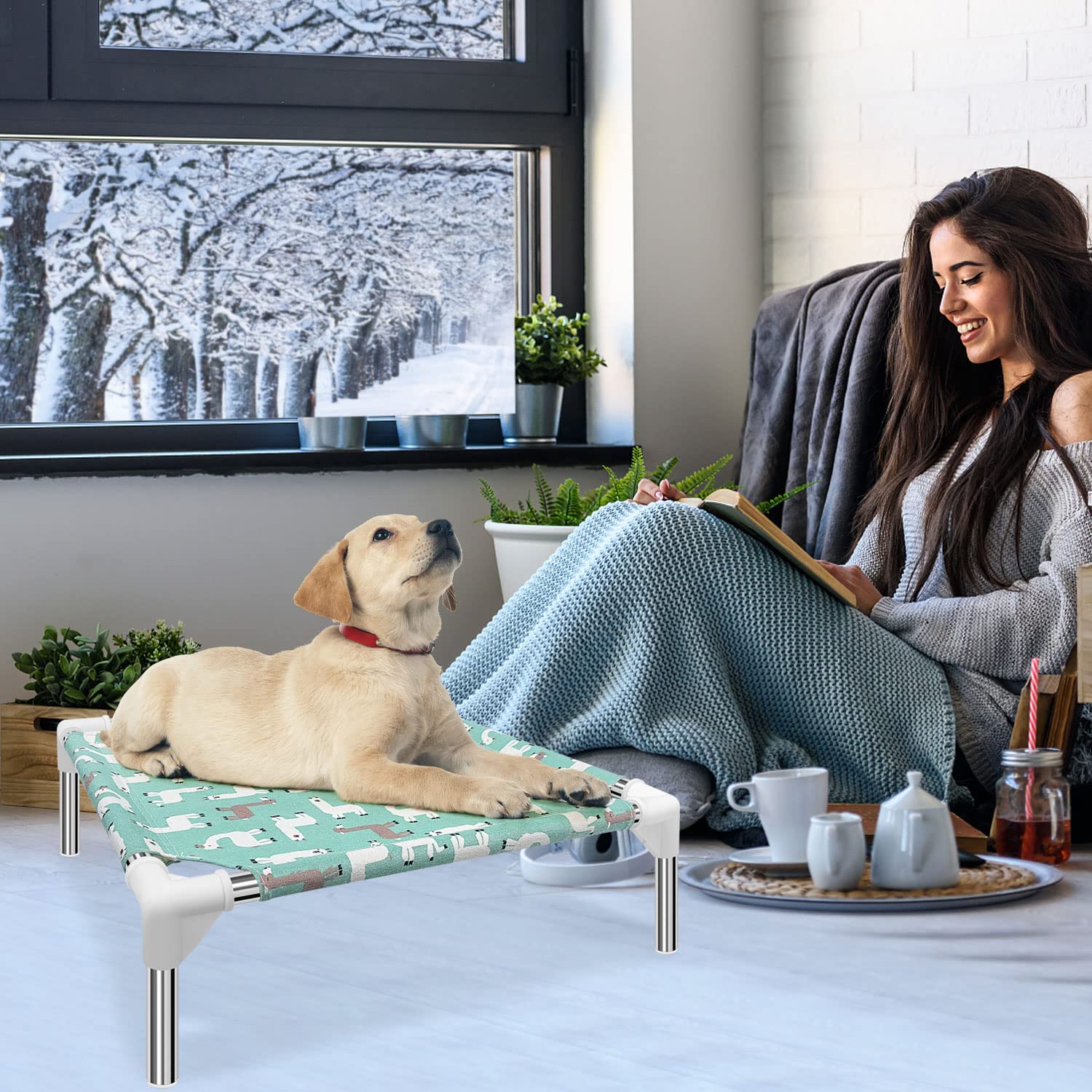 Elevated Dog Bed Pet Cot For Small Dogs, Indoor And Outdoor Use For Small Pets