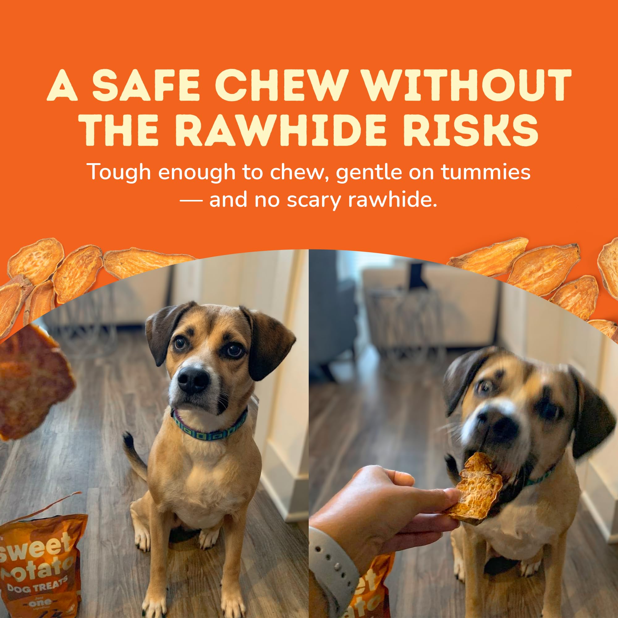 Davies Sweet Potato Dog Treats - Healthy Dog Chews, Low Fat, Made in USA, 1 lb Bag - Pack of 5