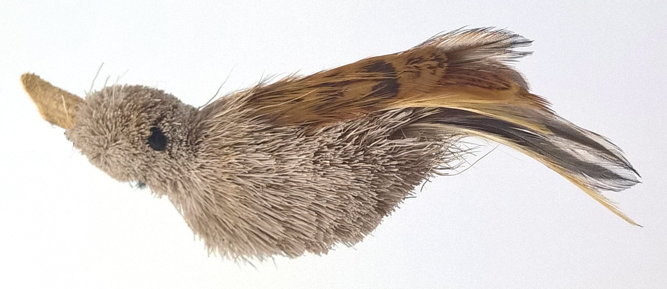 Big Sky Cats Bird And Bee Pack Refill/Attachment (Finch, Gila And Bee) - Fits Wildcat And Popular Bird And Mouse Type Wands/Poles